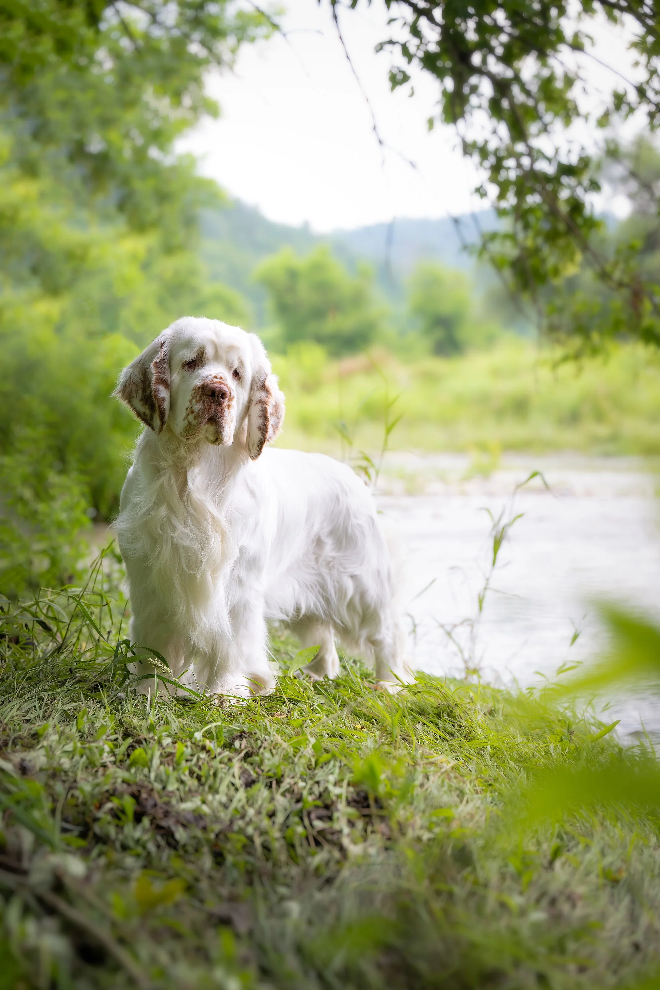 DSC_7141-Edit.jpg