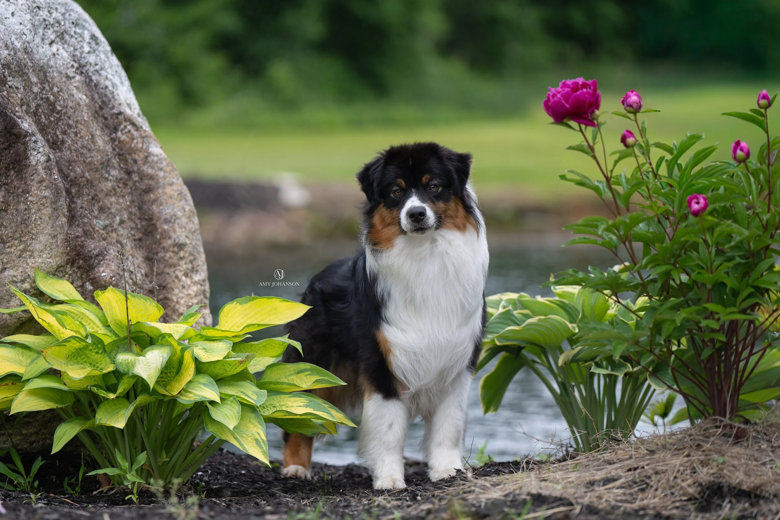 DSC_1434-Edit.jpg