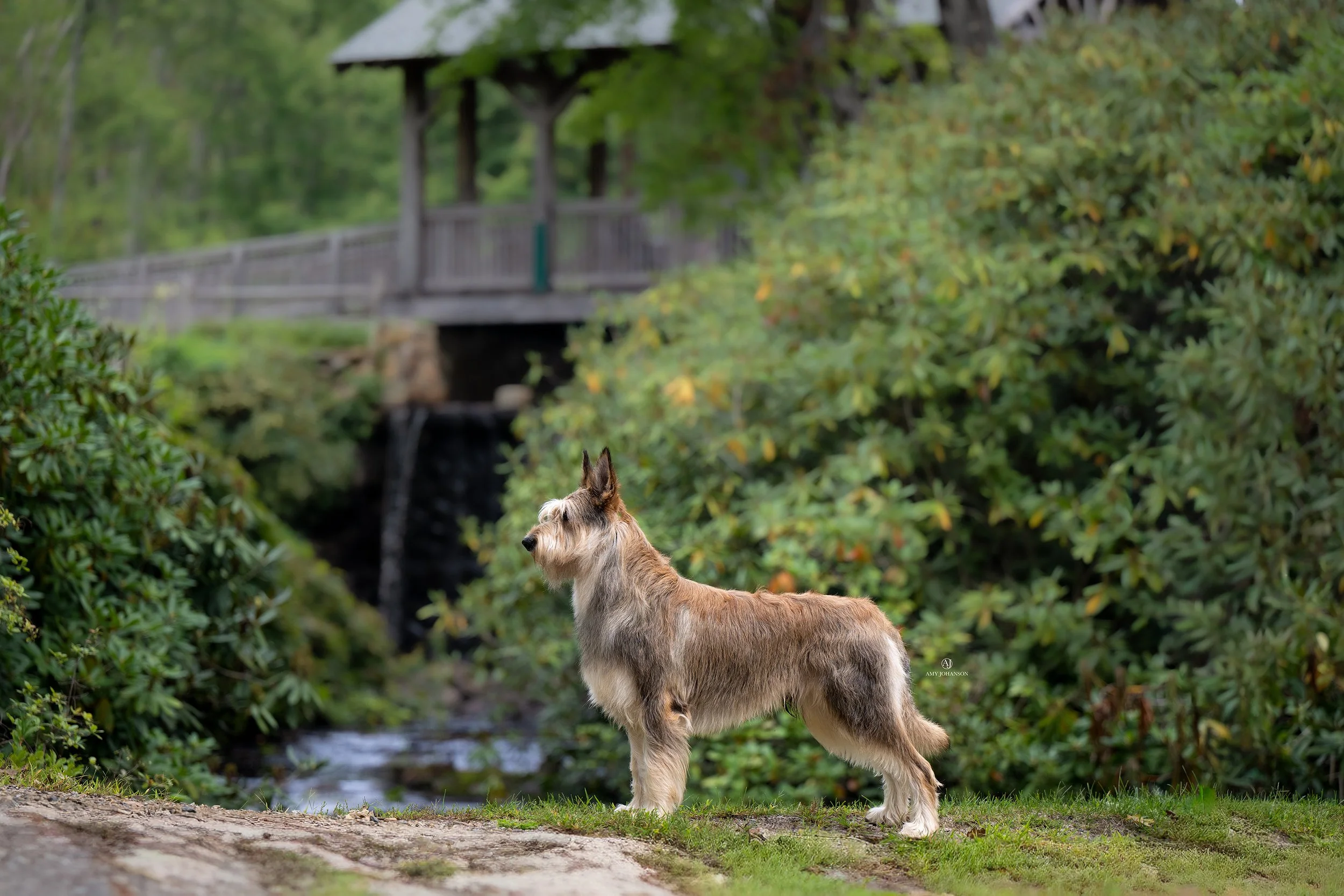 DSC_6909-Edit.jpg