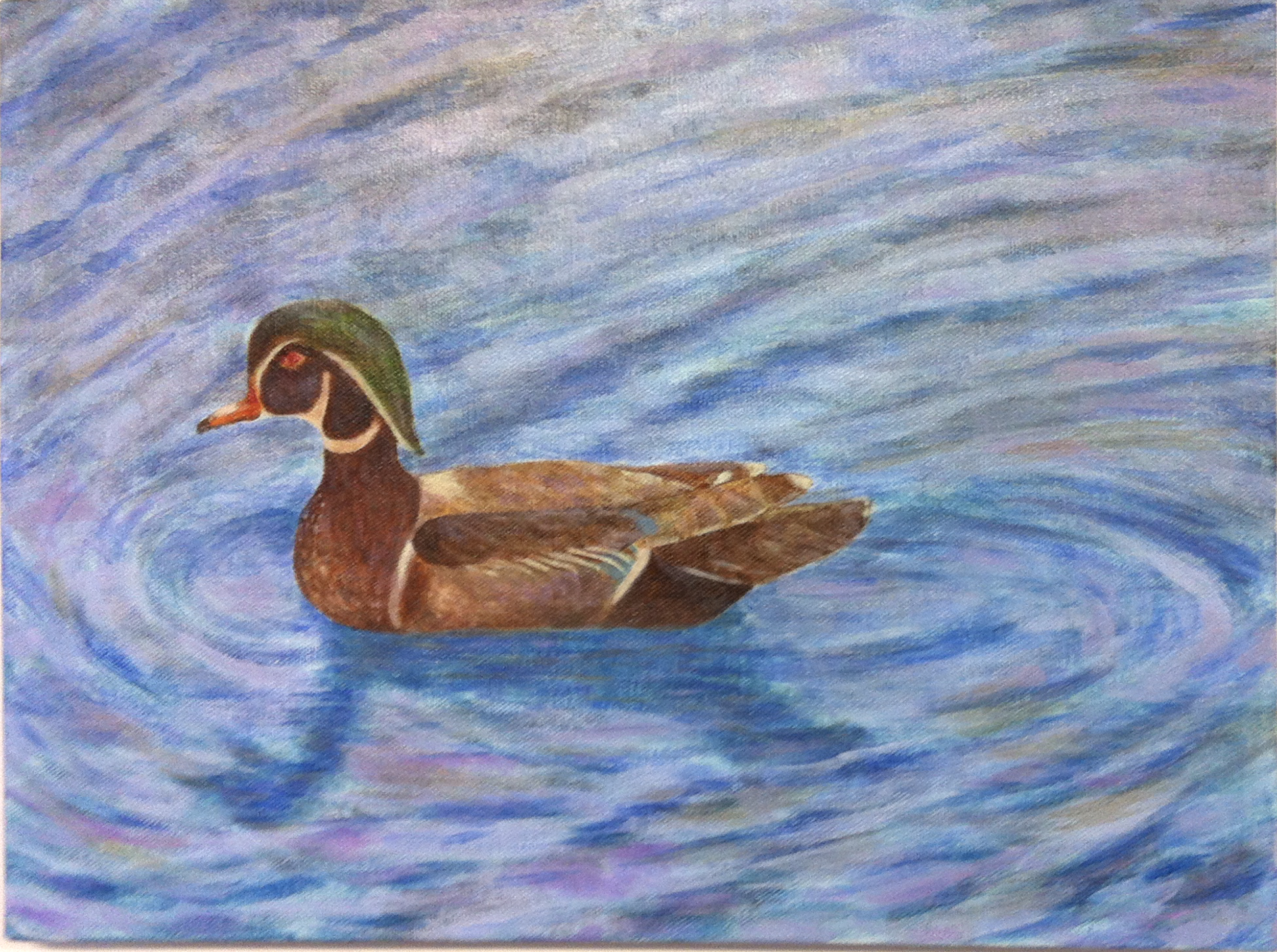 lynn clark duck .png