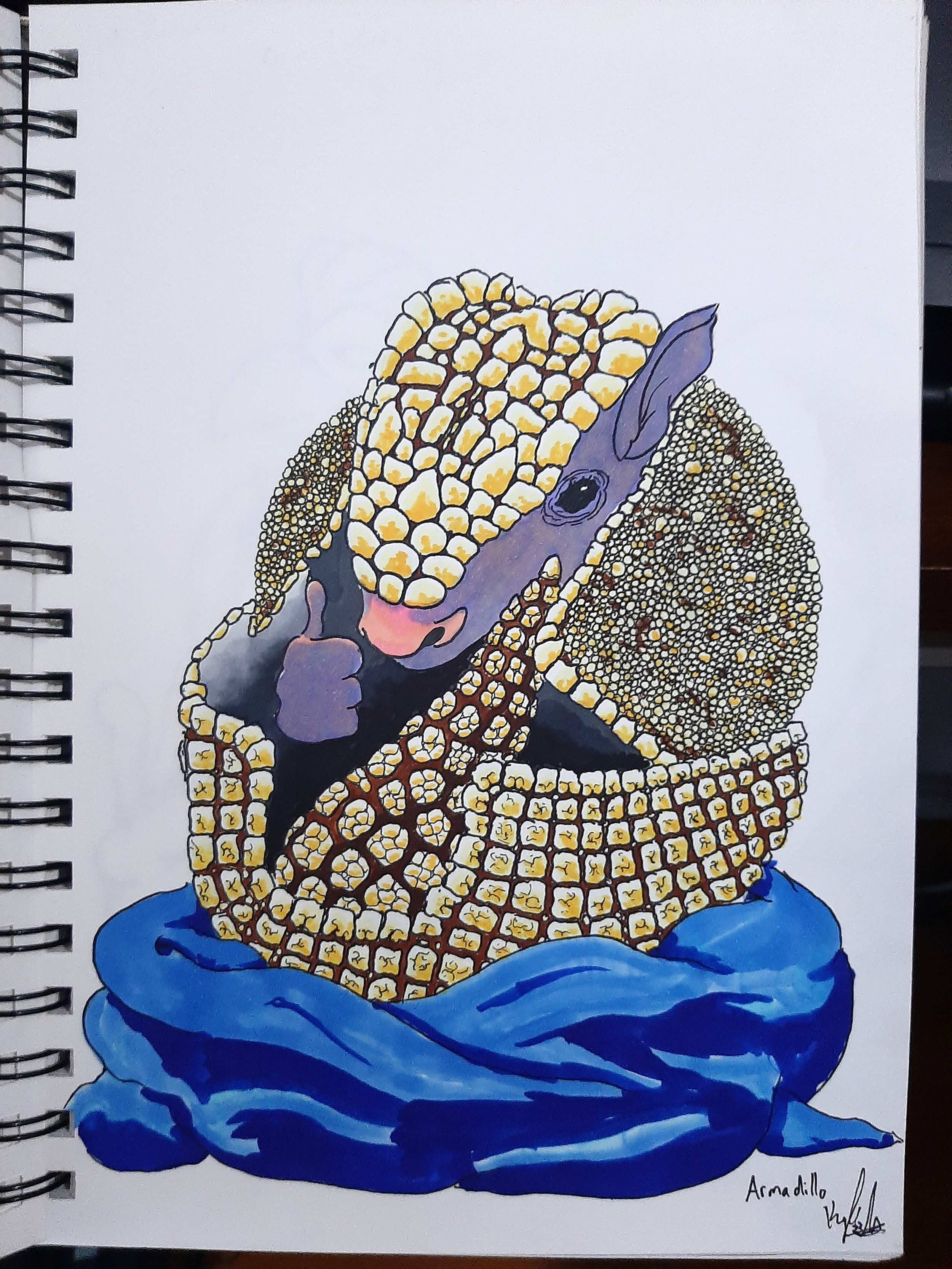 Armadillo- Ink and Alcohol Marker- K. Andrews.png