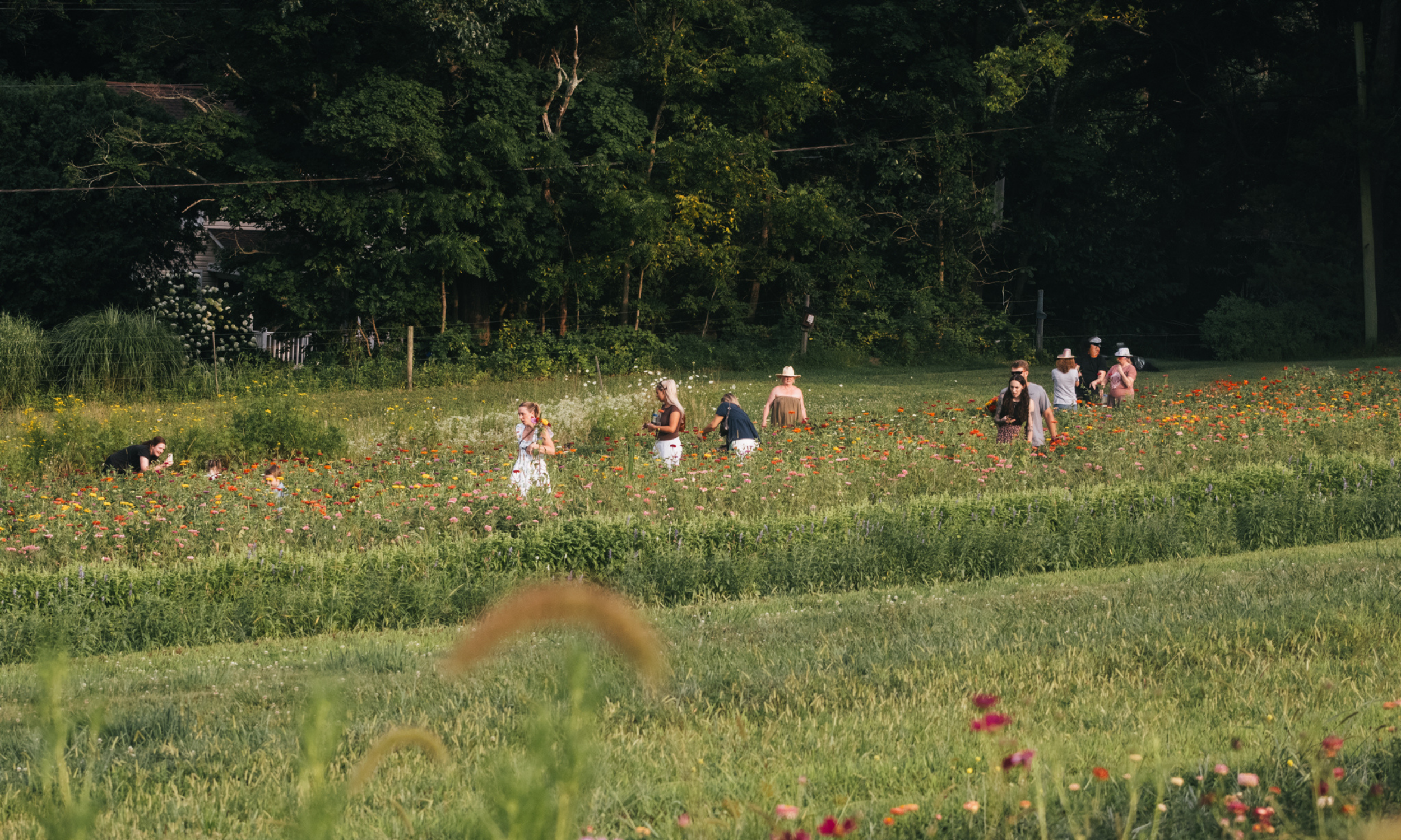 Twilight Harvest: Admission + Parking