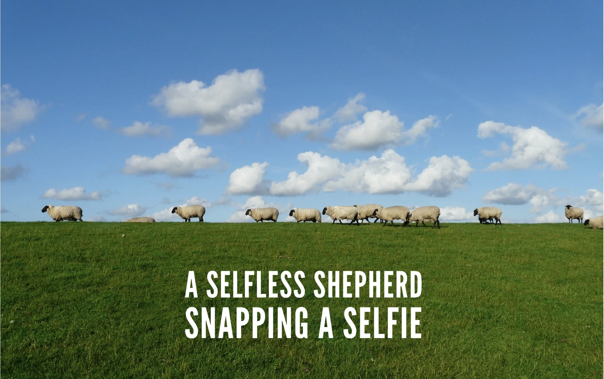 A Selfless Shepherd Snapping A Selfie