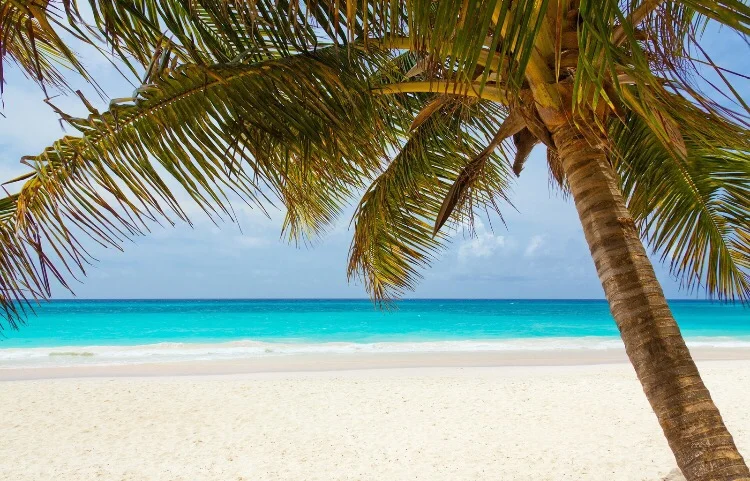 Relentless Pursuit: God and Moana 