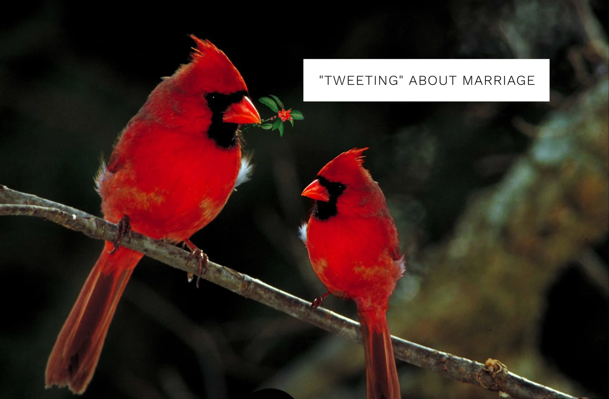 "Tweeting" About Marriage