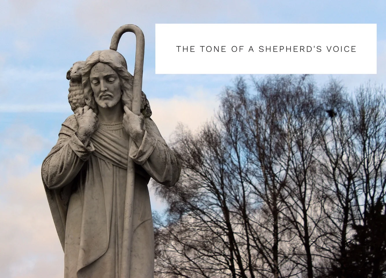 The Tone of a Shepherd's Voice