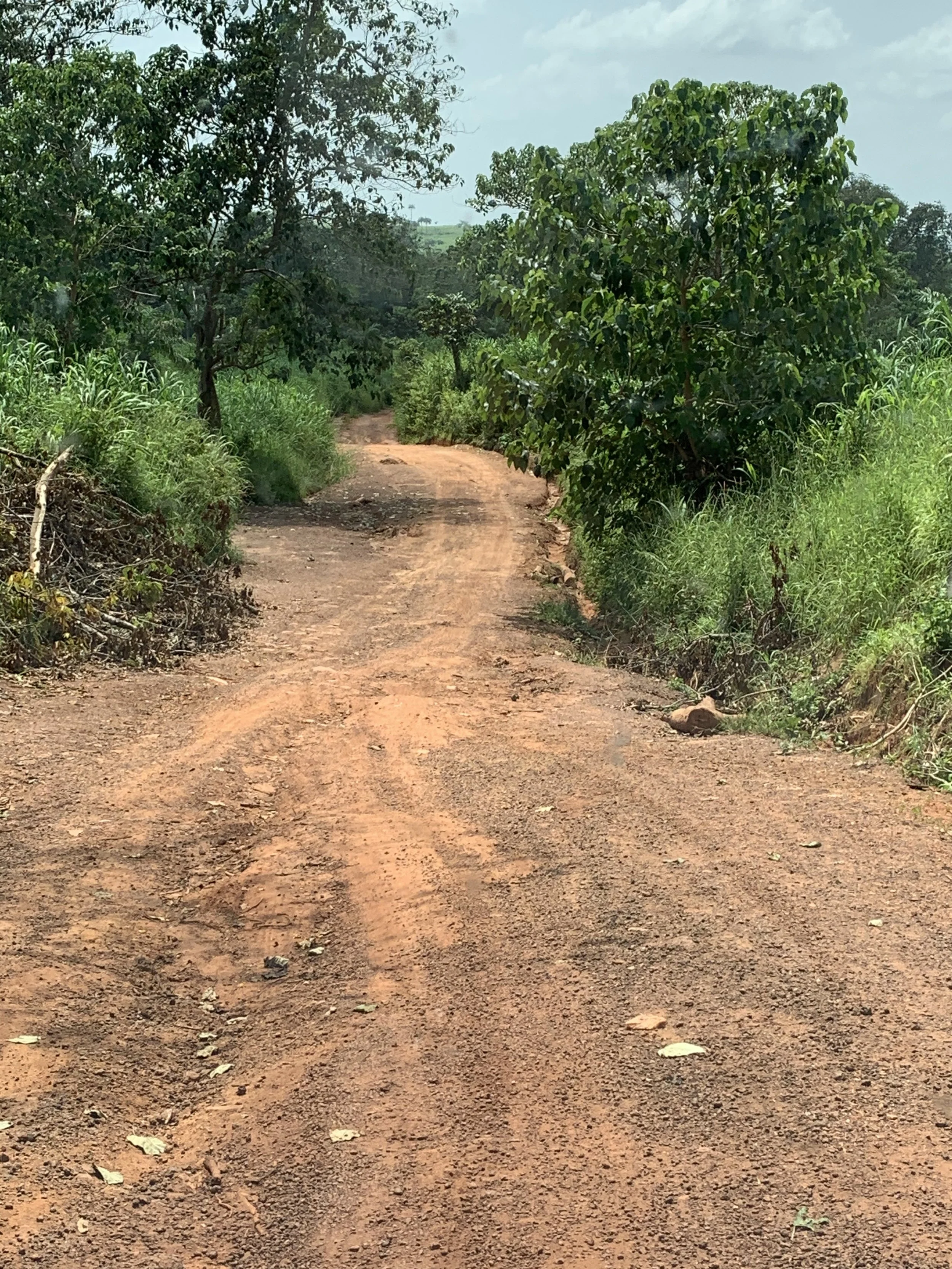 Beyond Awareness: Moving From Ignorance to Compassion