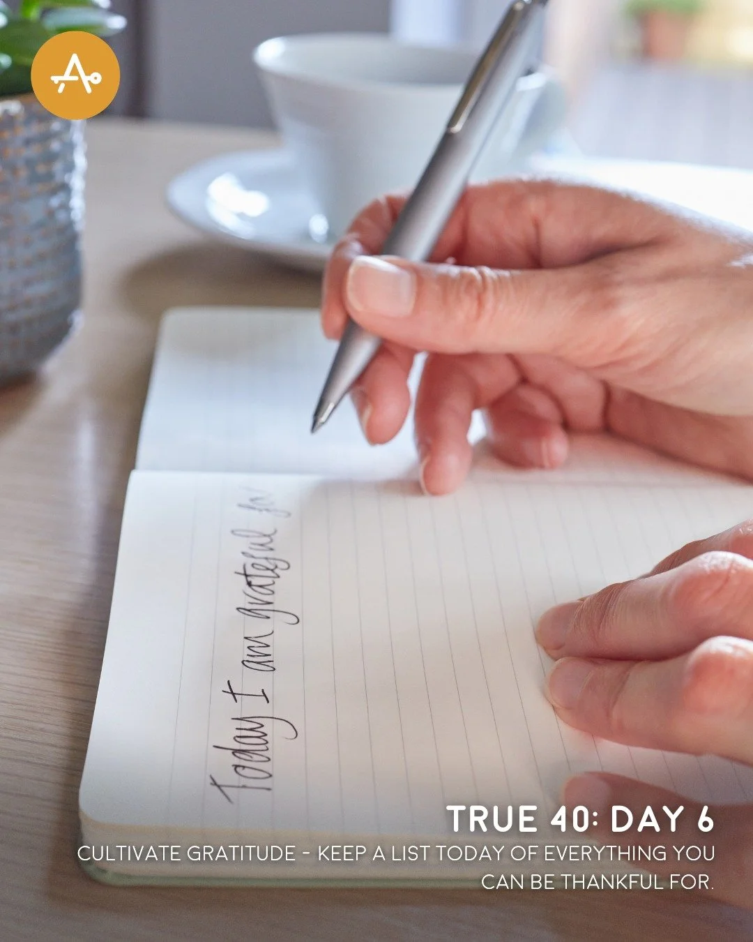 Day 6 True 40 Challenge: Cultivate gratitude - keep a list today of everything you can be thankful for. 

"...give thanks in all circumstances; for this is the will of God in Christ Jesus for you." I Thessalonians 5:18

#True40 #AHI #Access