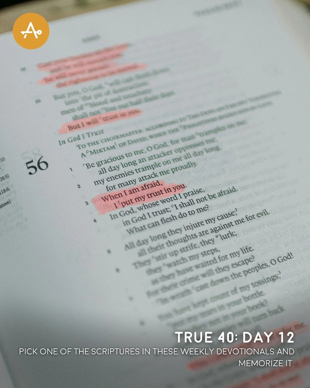 Day 12 True 40 Challenge: Pick one of the Scriptures in these weekly devotionals and memorize it.

"All Scripture is breathed out by God and profitable for teaching, for reproof, for correction, and for training in righteousness,  that the man o