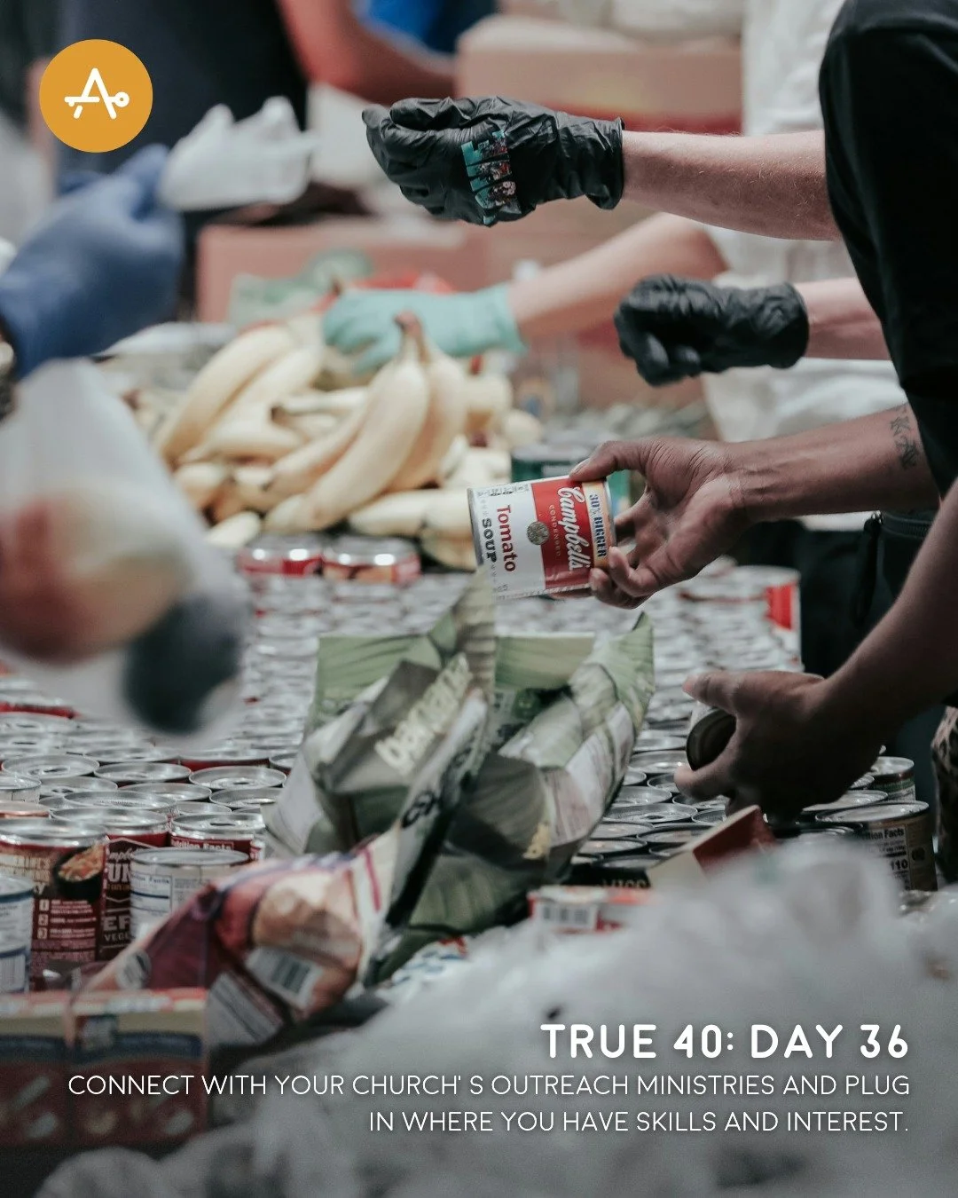 Day 36 True 40 Challenge: Connect with your church&rsquo;s outreach ministries and plug in where you have skills and interest.
"But we will devote ourselves to prayer and to the ministry of the word." Acts 6:4
#AHI #AccessibleHope #Lent #Tr