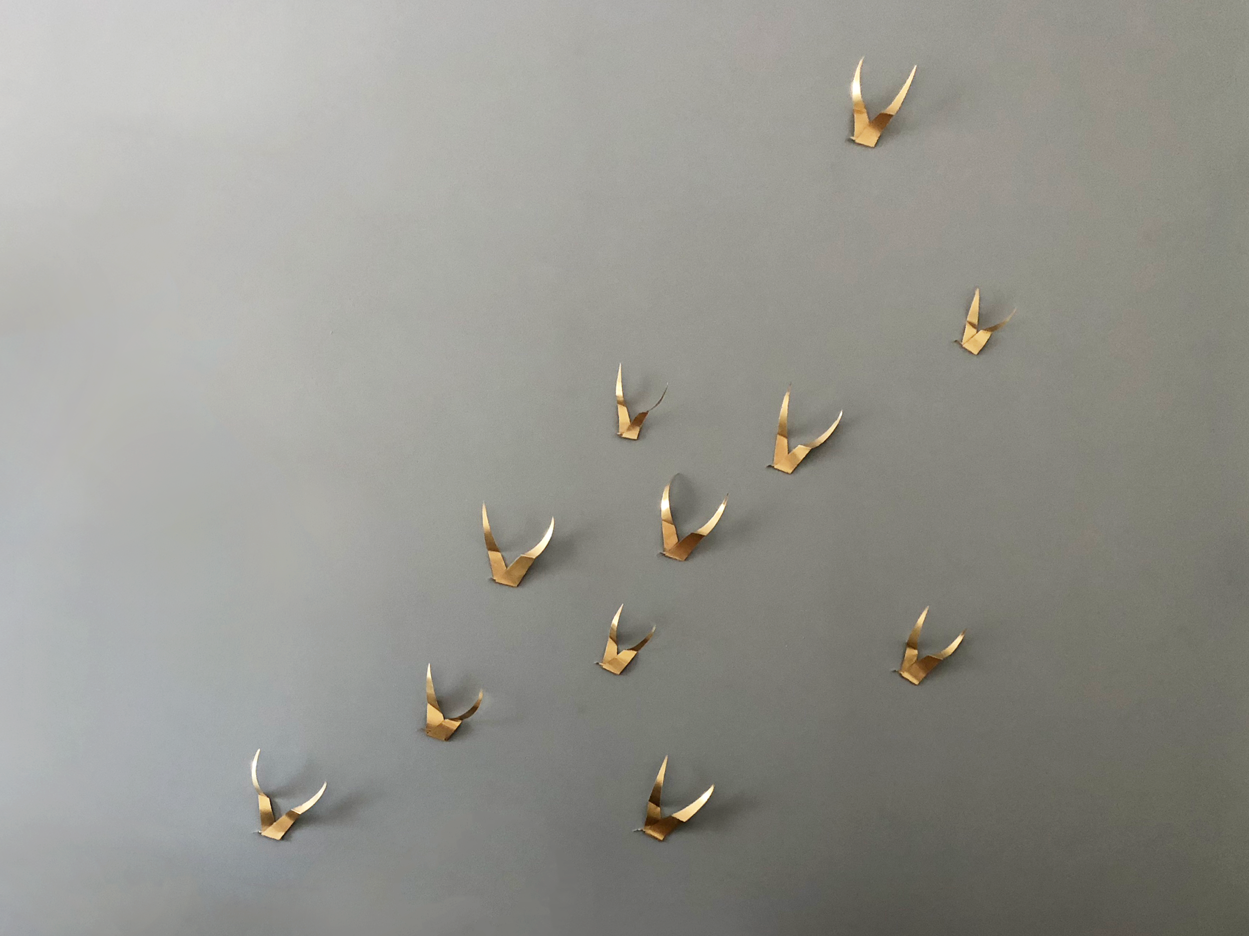 Birds.png