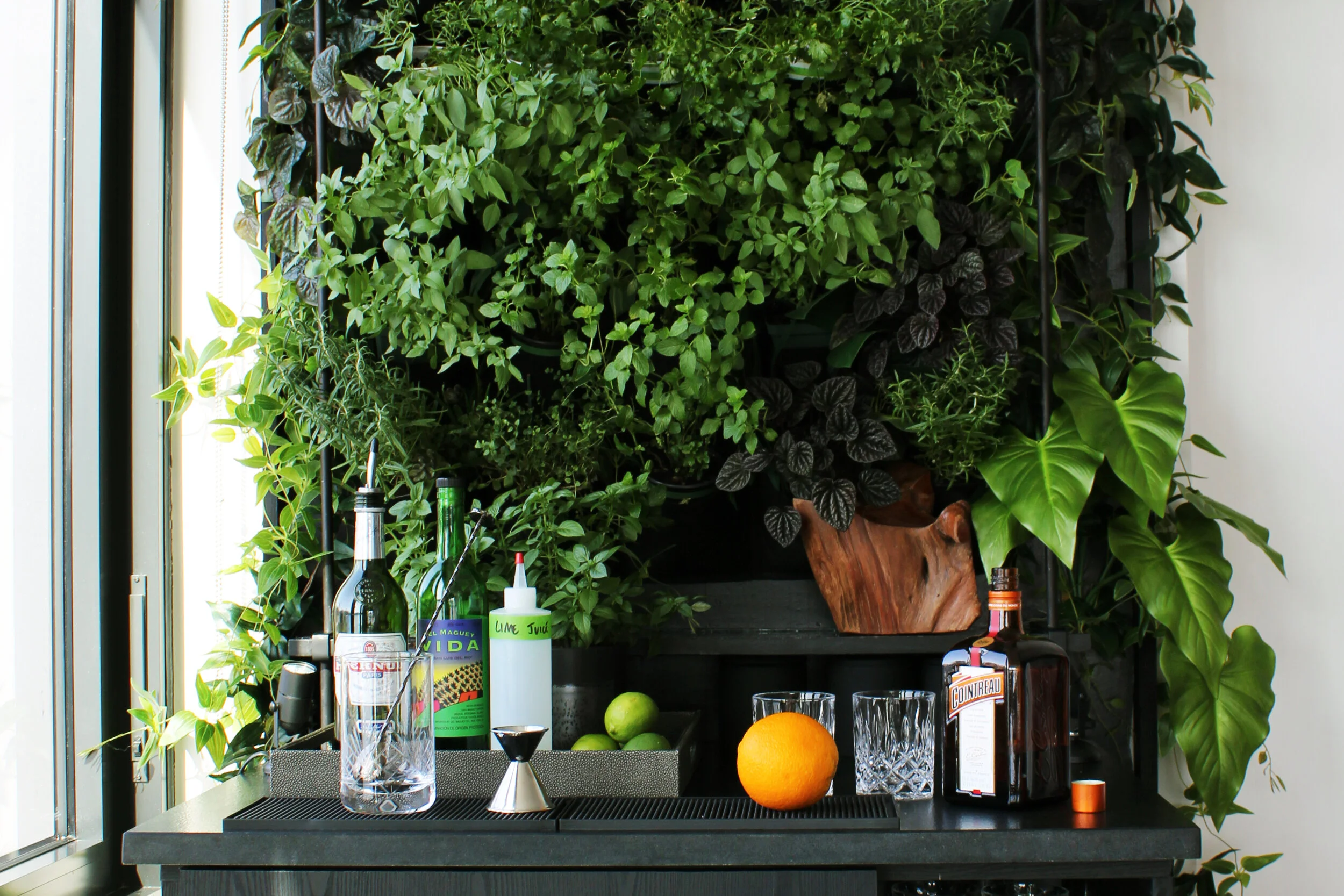 7.18 - Photo Shoot!Live Wall]-888.jpg