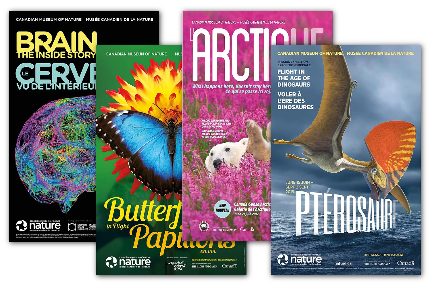 CMN Exhibit Marketing