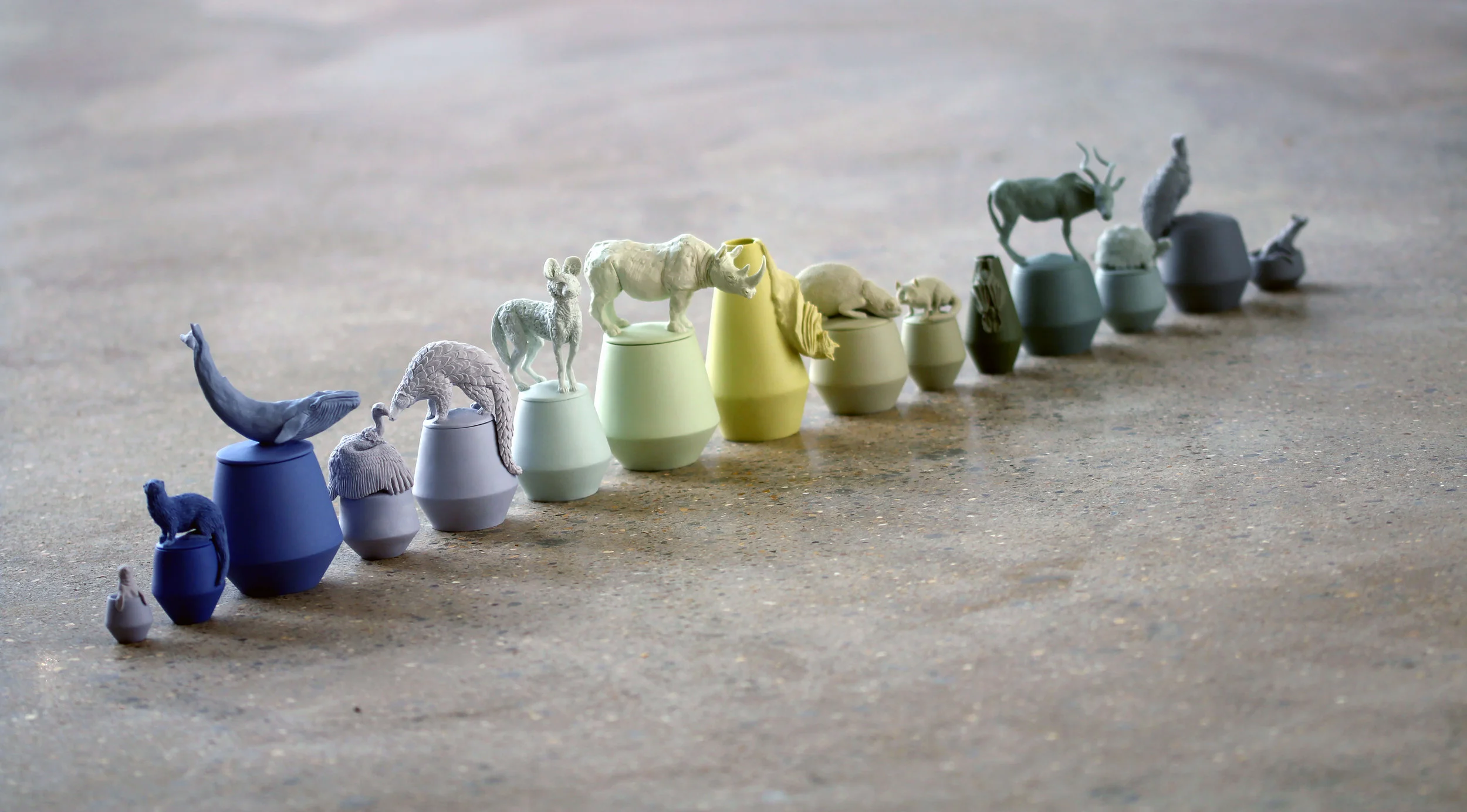 Line up9.jpg