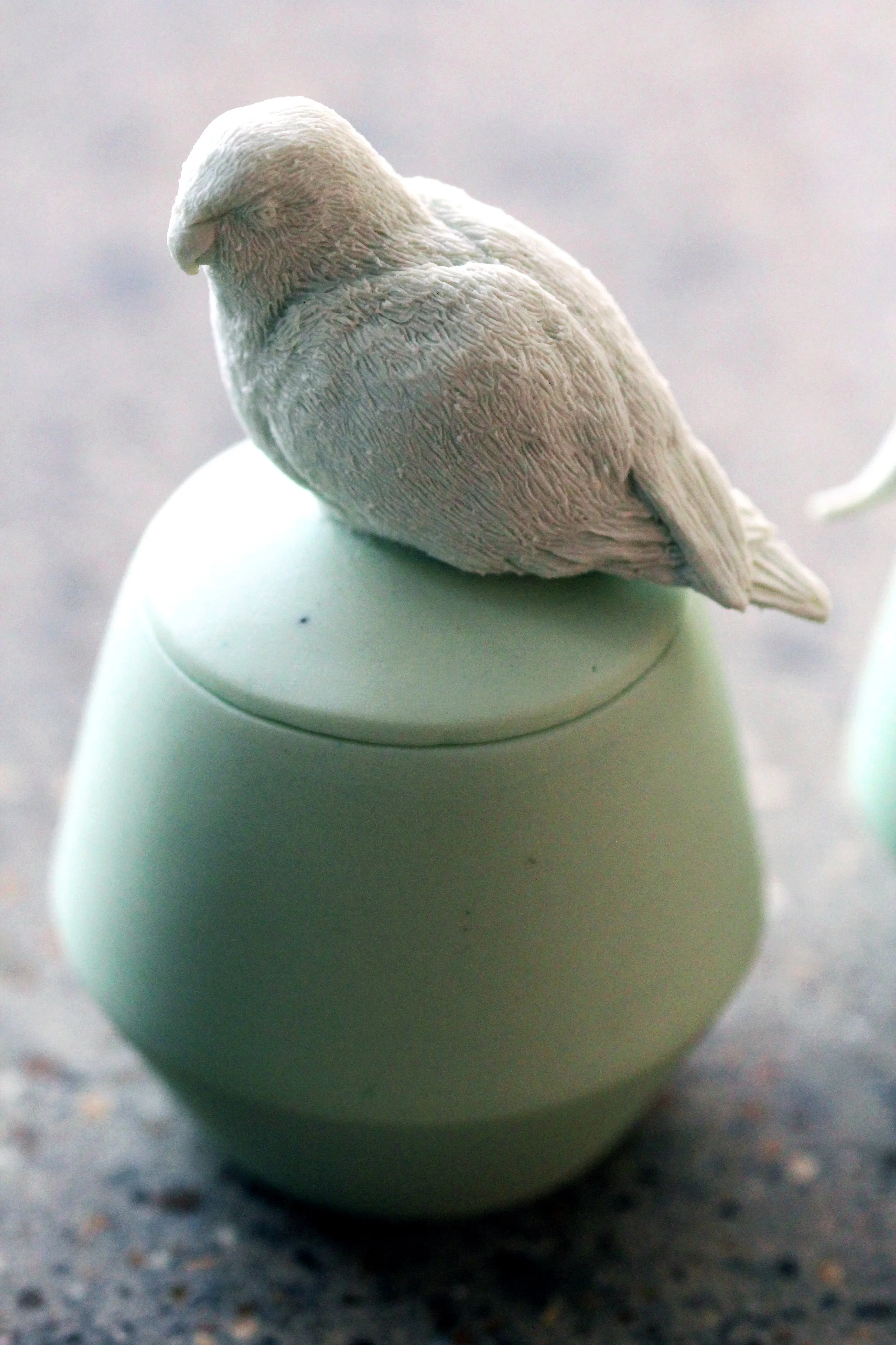 Anitpods Island Parakeet