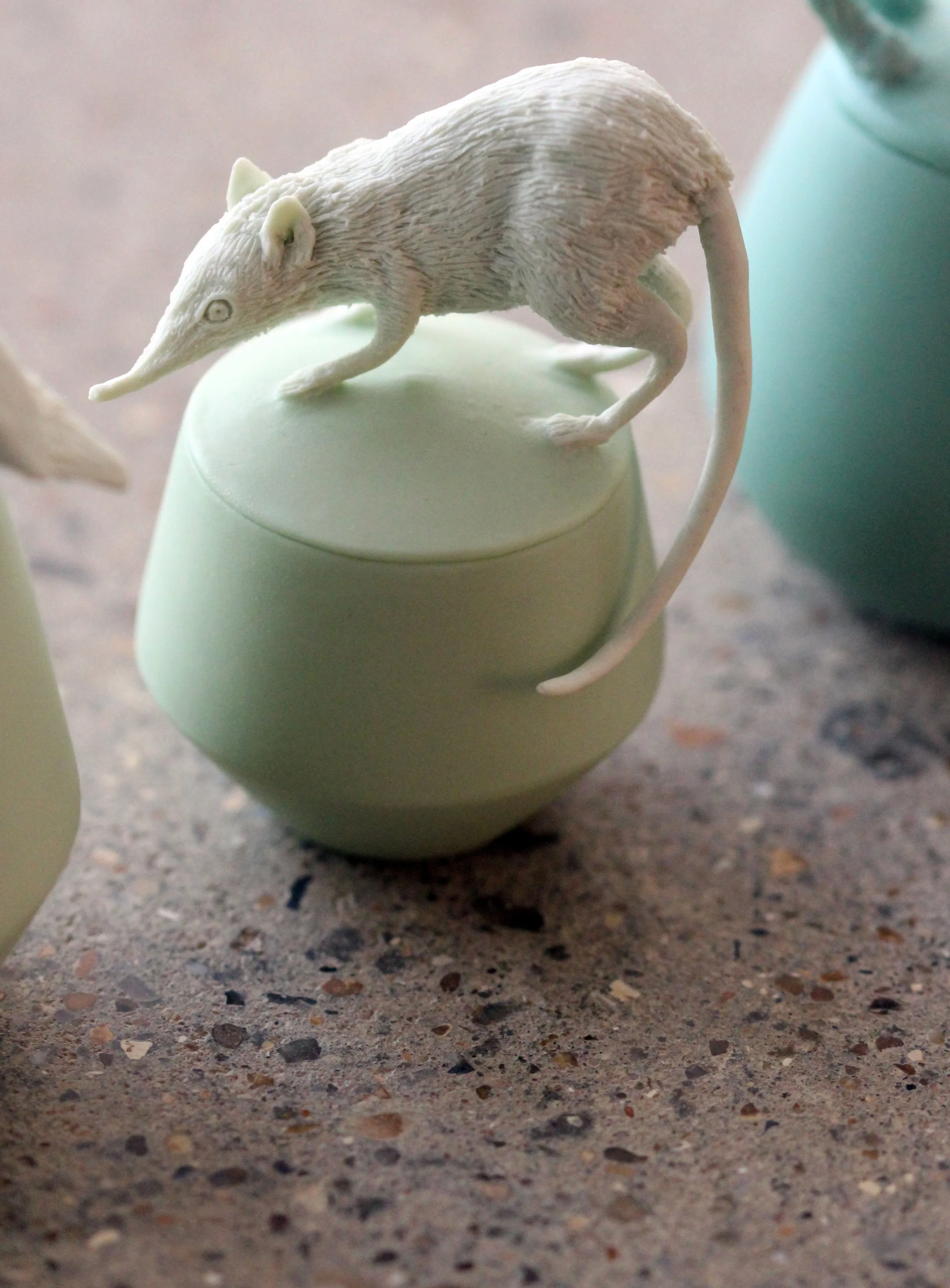 Elephant Mouse Shrew