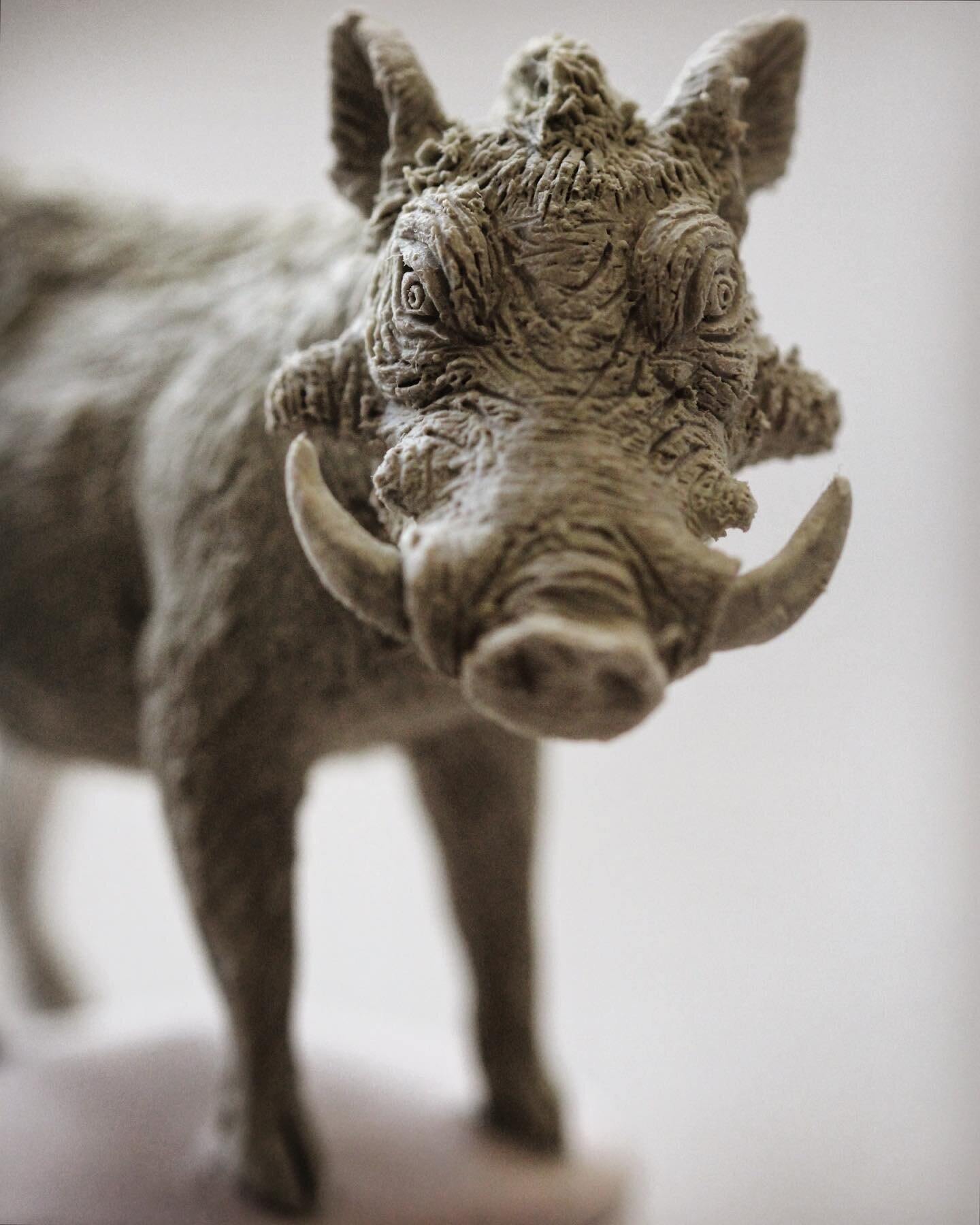 &ldquo;They call me Mr Pig&rdquo; #pumbaa #porcelainsculpture #contemporaryceramics #ceramicart #wildlifesculpture #porcelain