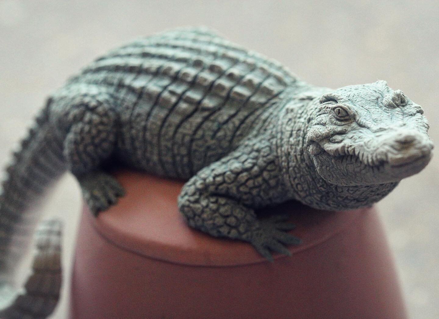 🐊Siamese Crocodiles are one of the world&rsquo;s rarest reptiles, reduced to small, fragmented populations of about 250 adults surviving in the wild in Cambodia 🇰🇭. Their decline began with competition from rice farmers for its wetland habitat, bu