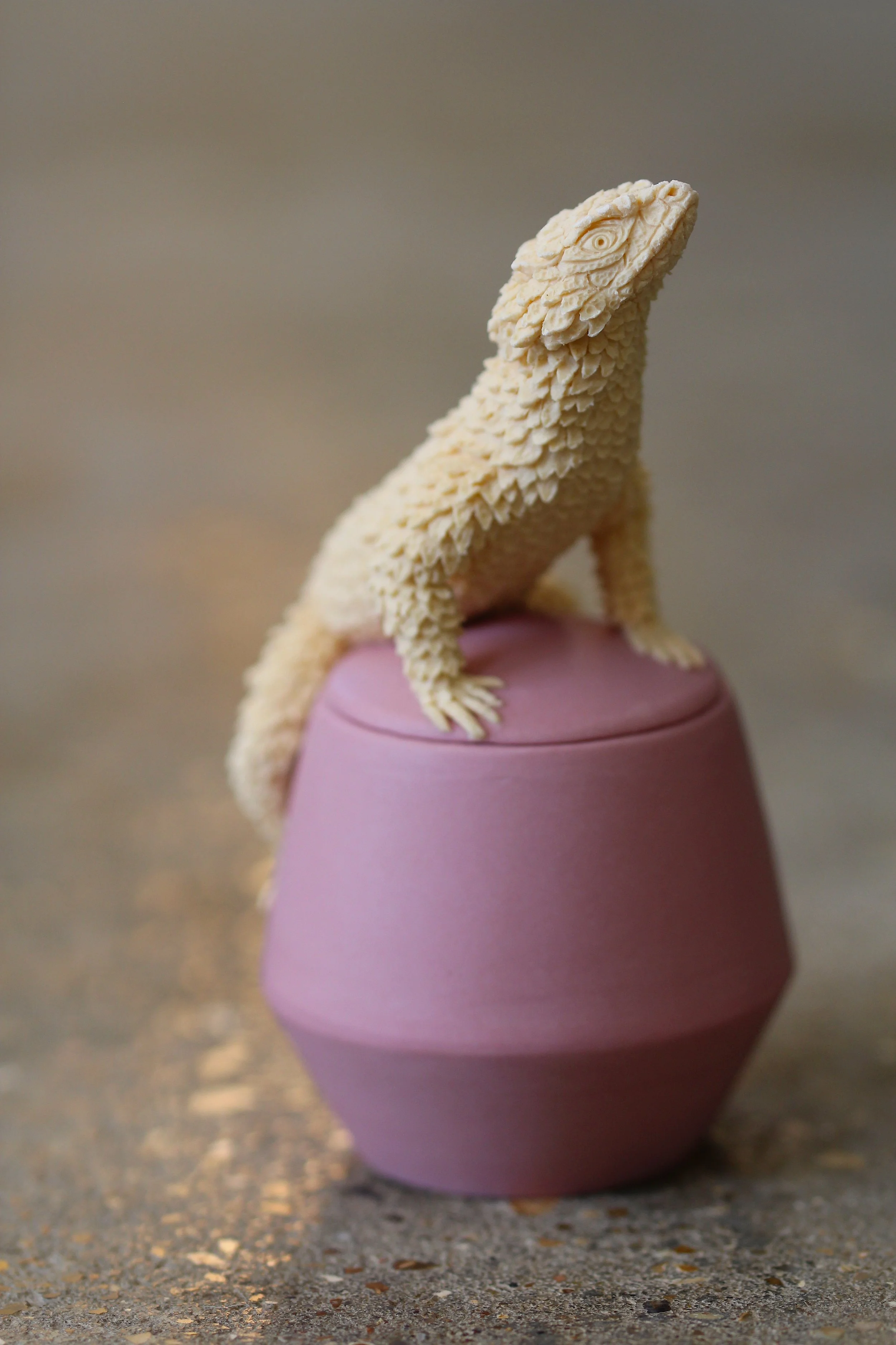   4. Sungazer Lizard    110mm x 65mm  £600  (SOLD)  