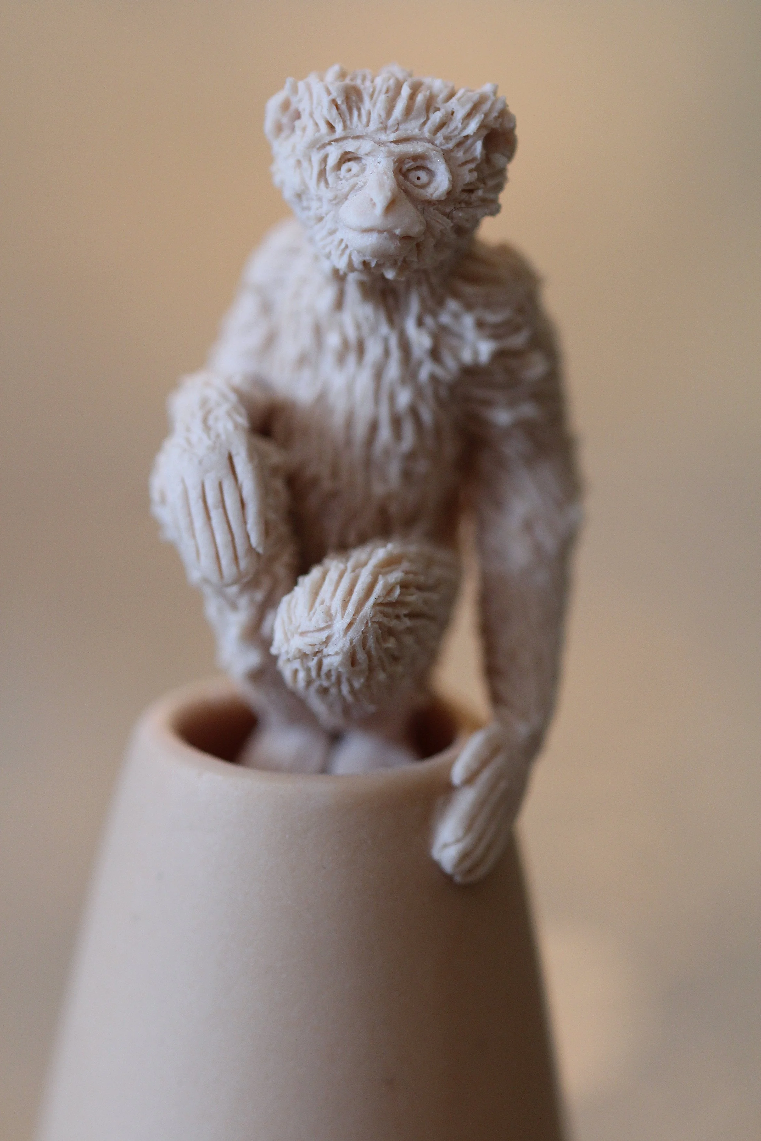   14. Lar Gibbon   100mm x 25mm   £320  