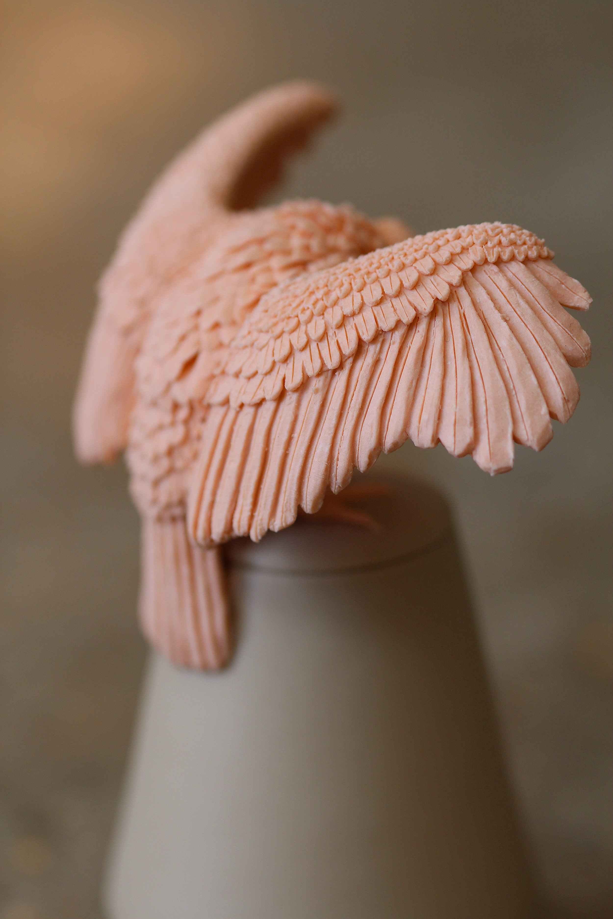   18. White-backed Vulture   130mm x 100mm   £680  