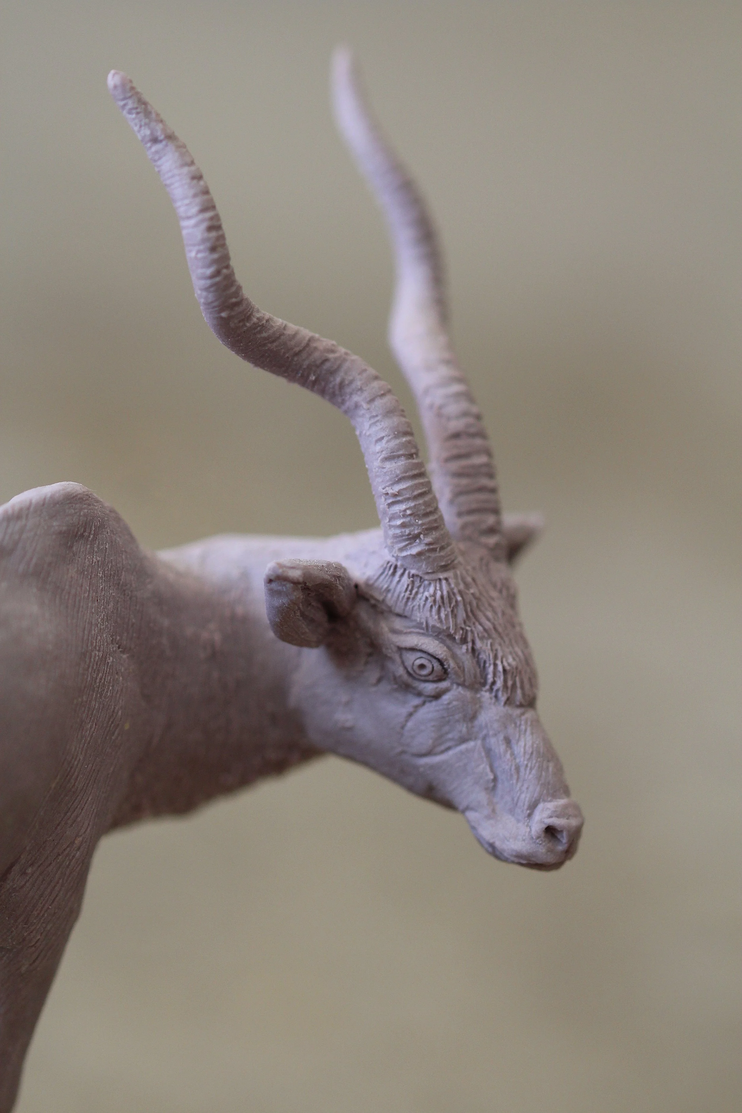   26. Addax   150mm x 95mm   £500  