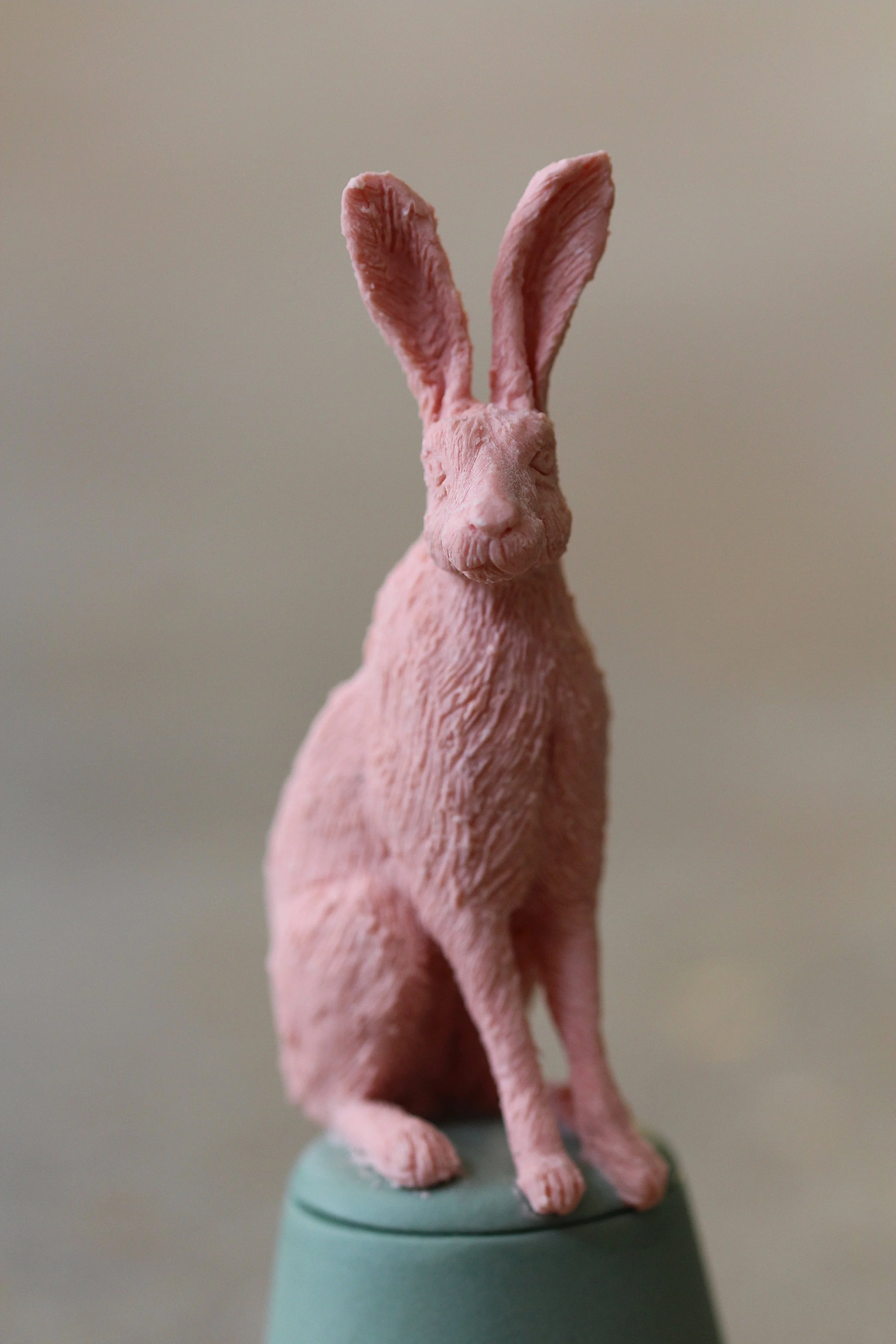   31. European Hare   120mm x 35mm   £450  
