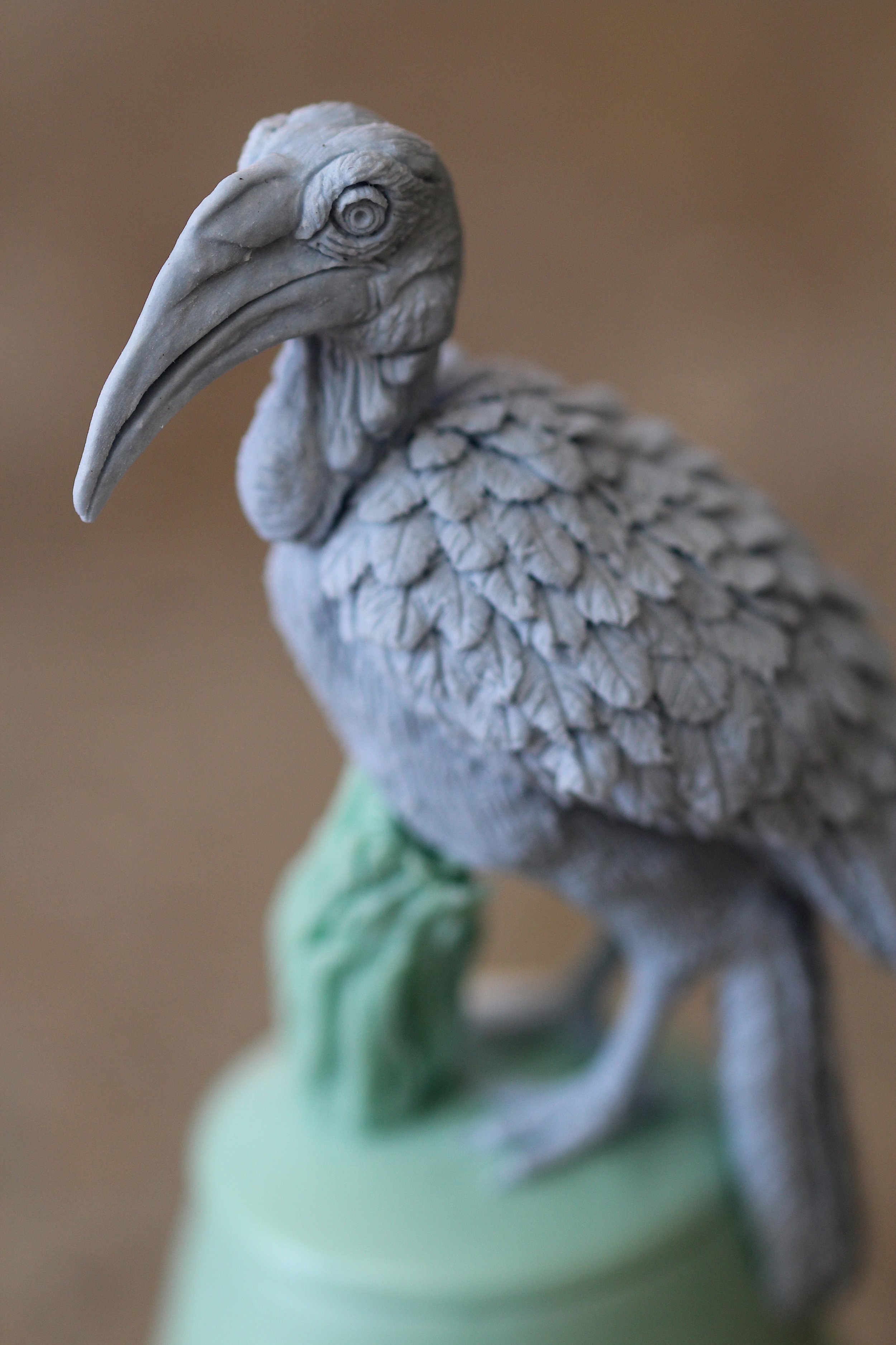   33. Southern Ground Hornbill   140mm x 60mm   £600  