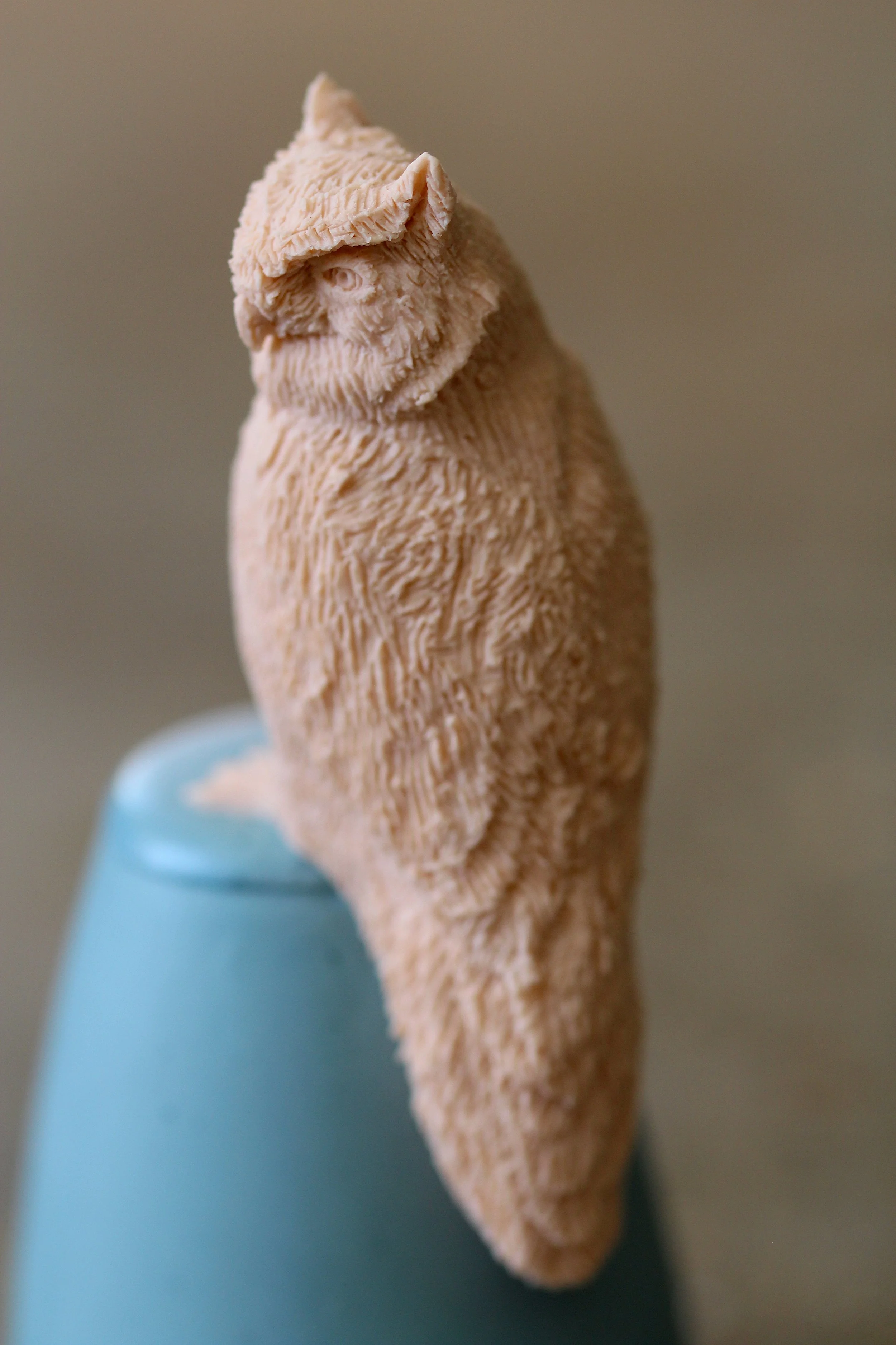   35. European Scops Owl   120mm x 45mm   £500  