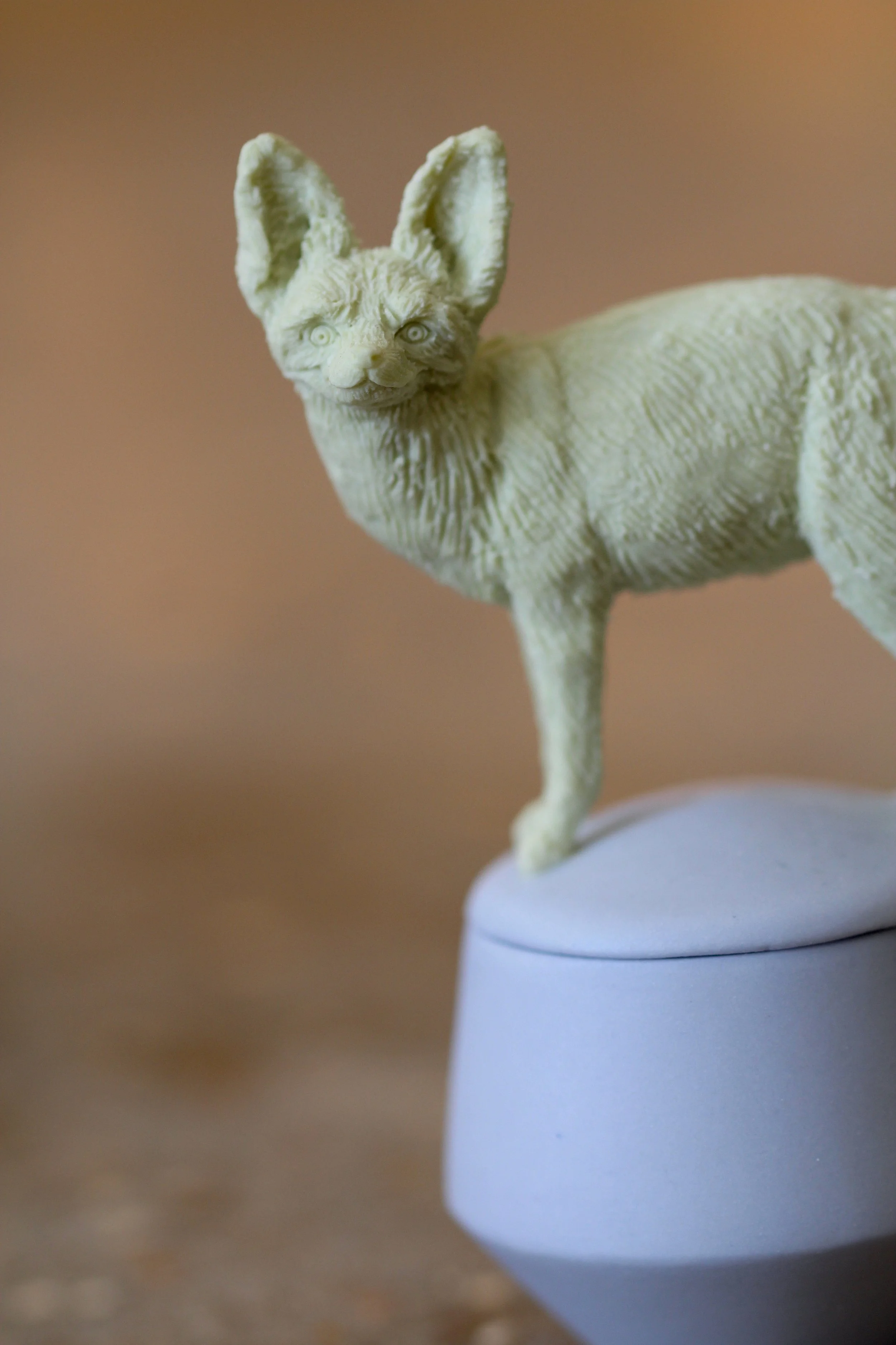   44. Bat Eared Fox   90mm x 55mm   £450  