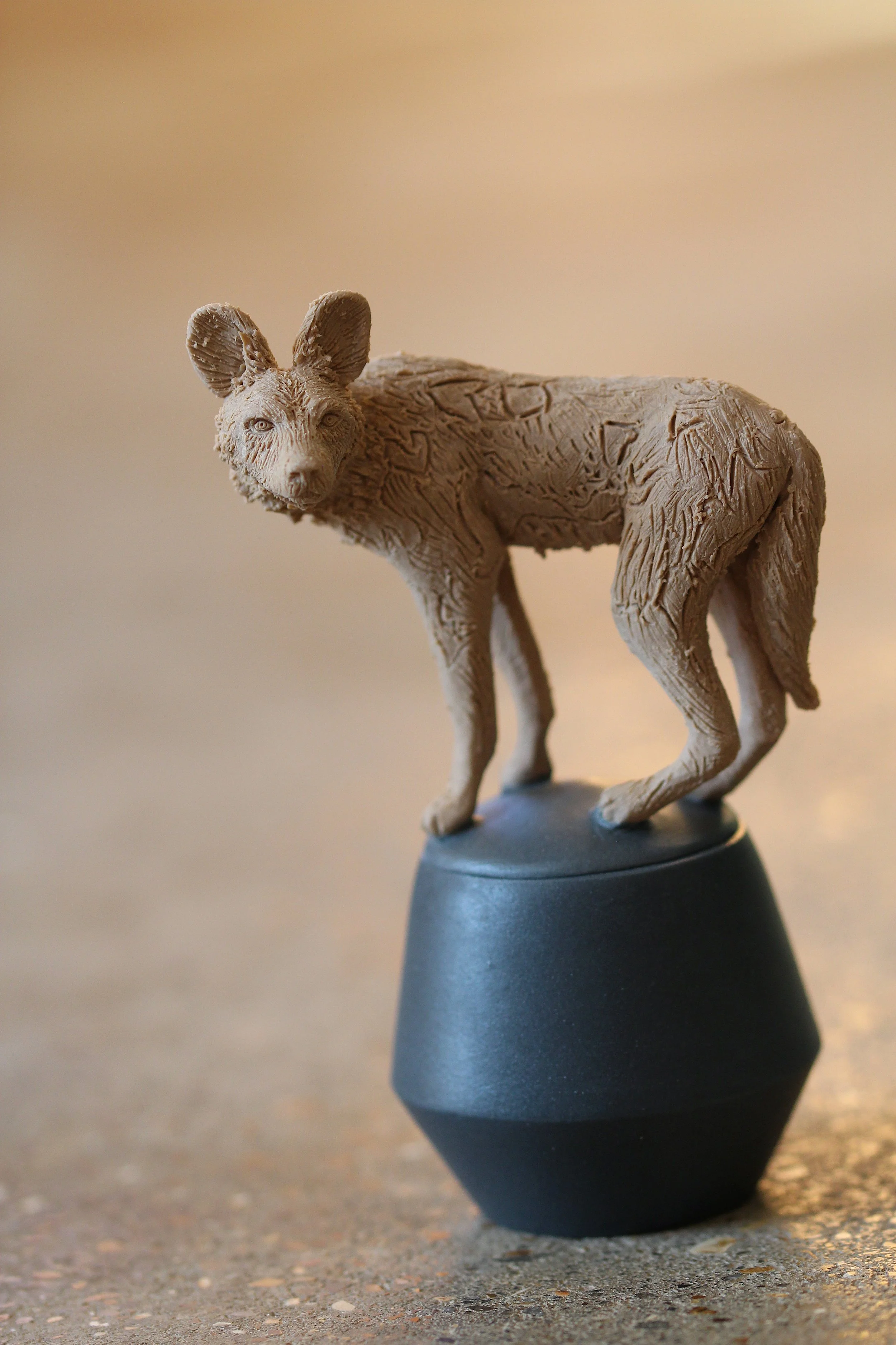   47. African Wild dog   130mm x 75mm   £520 