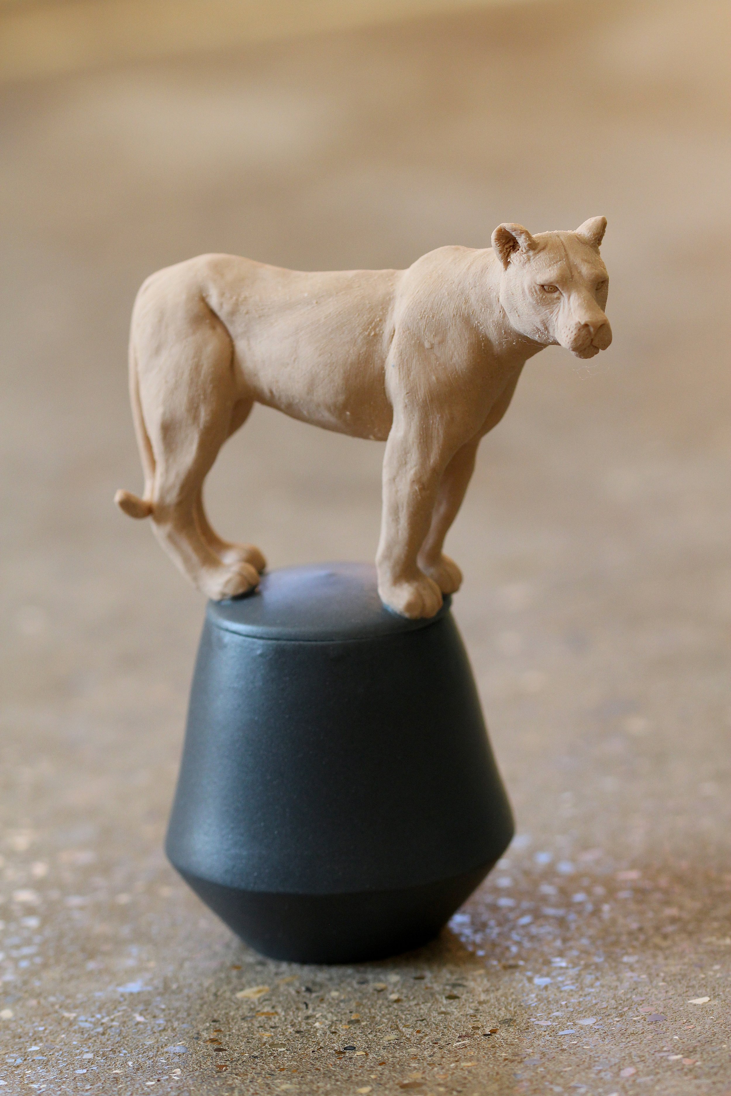   49. African Lion   150mm x 110mm    £580 