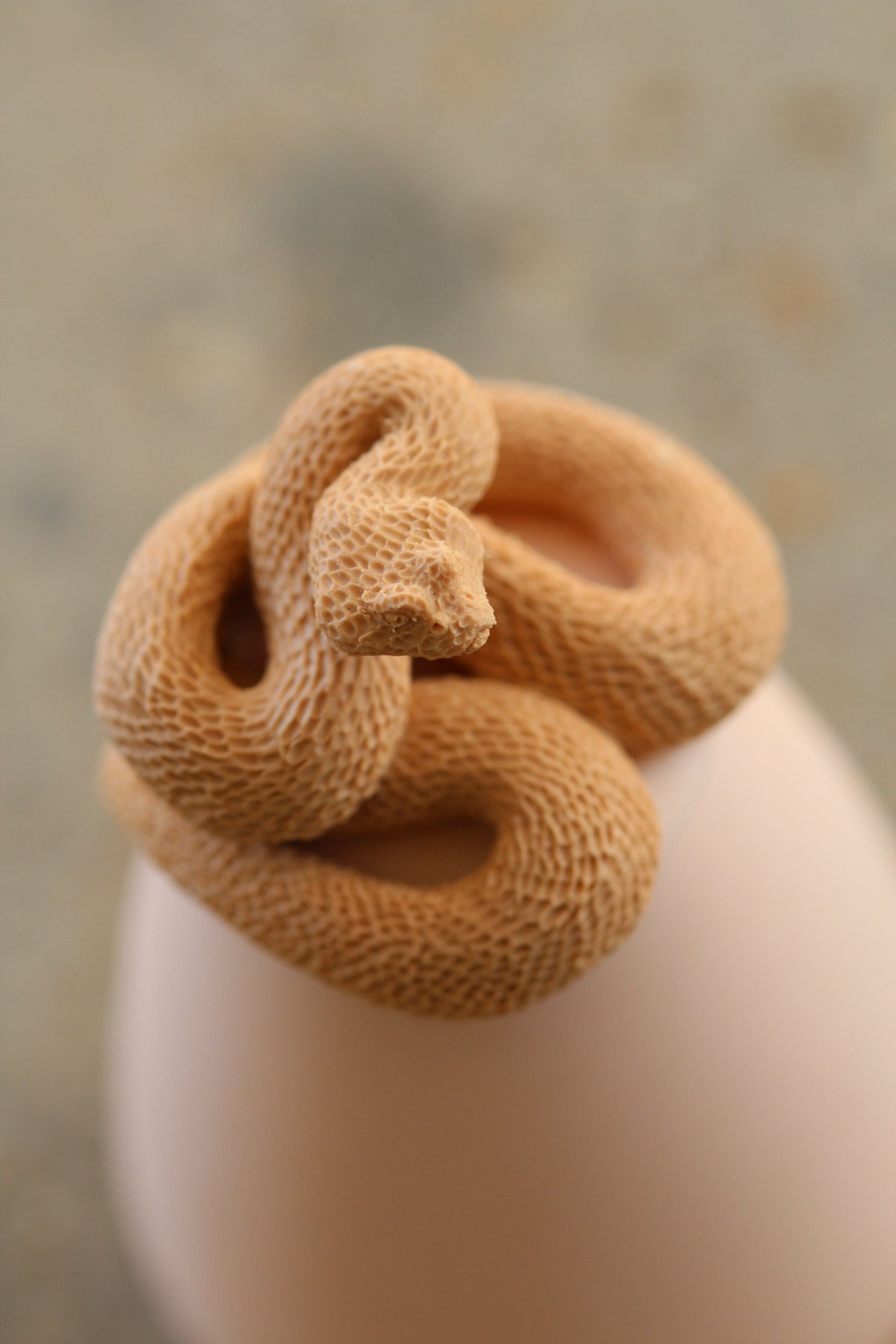   15. Albany Adder   90mm x 50mm  £360  