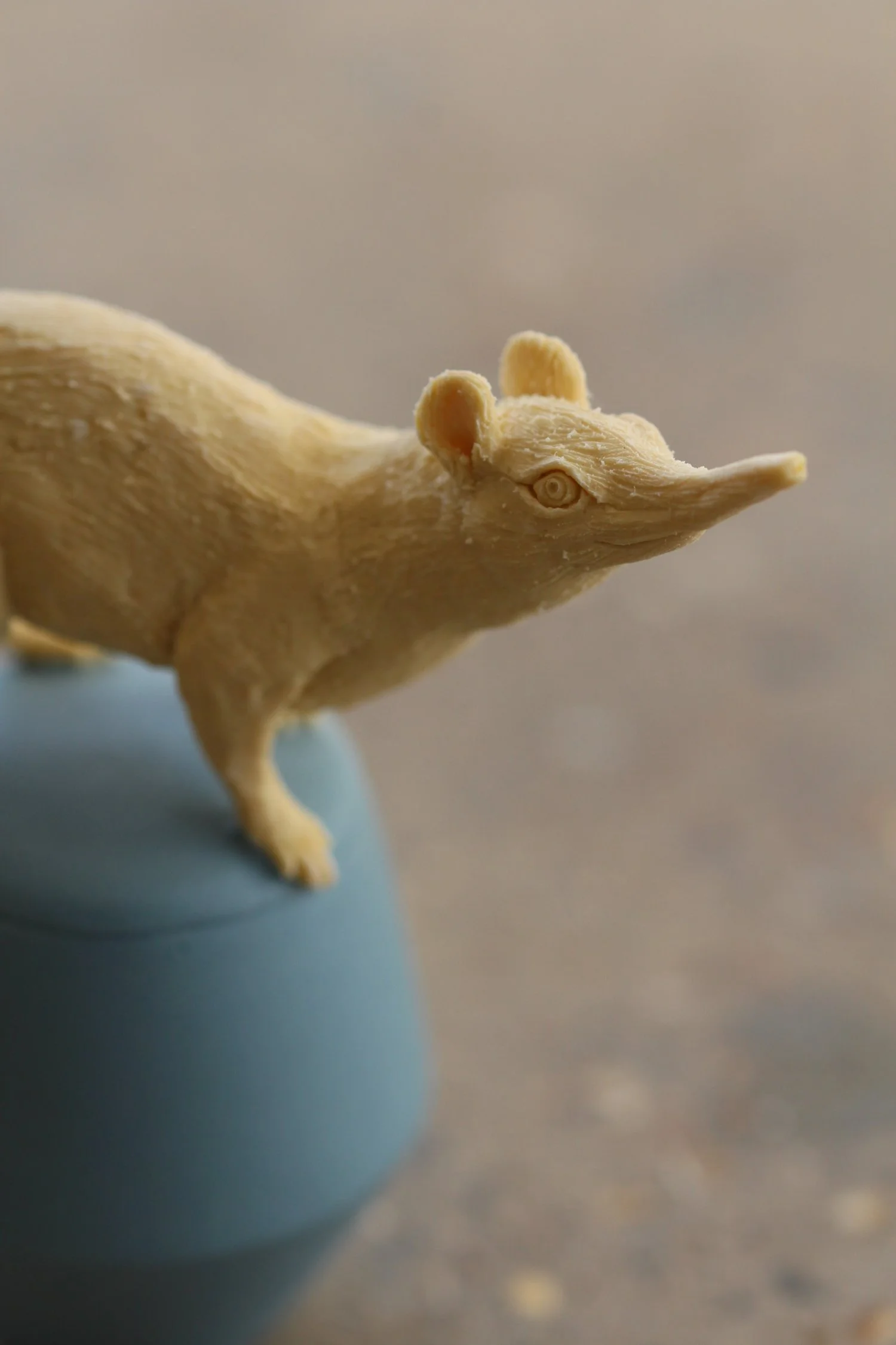   36. Golden Rumped Sengi   75mm x 70mm   £380  (SOLD)  