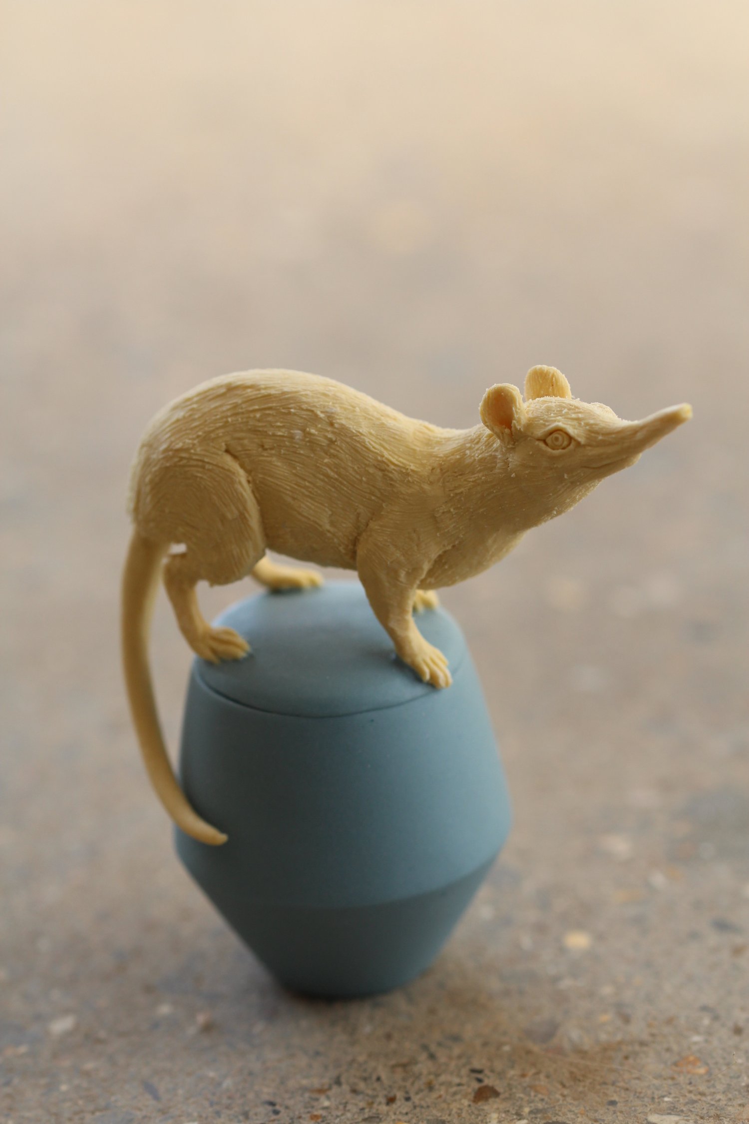   36. Golden Rumped Sengi   75mm x 70mm   £380  (SOLD)  