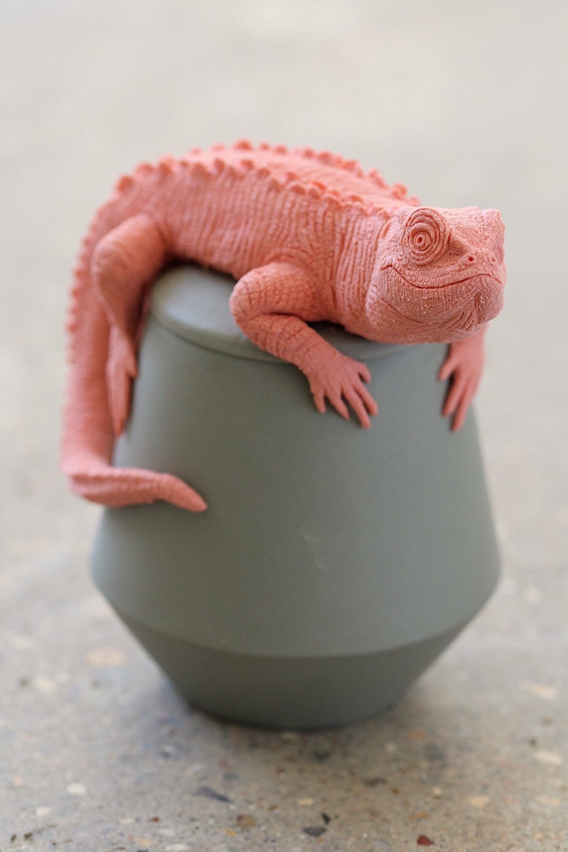 7. Chinese Crocodile Lizard 90mm x 80mm £550 (SOLD)