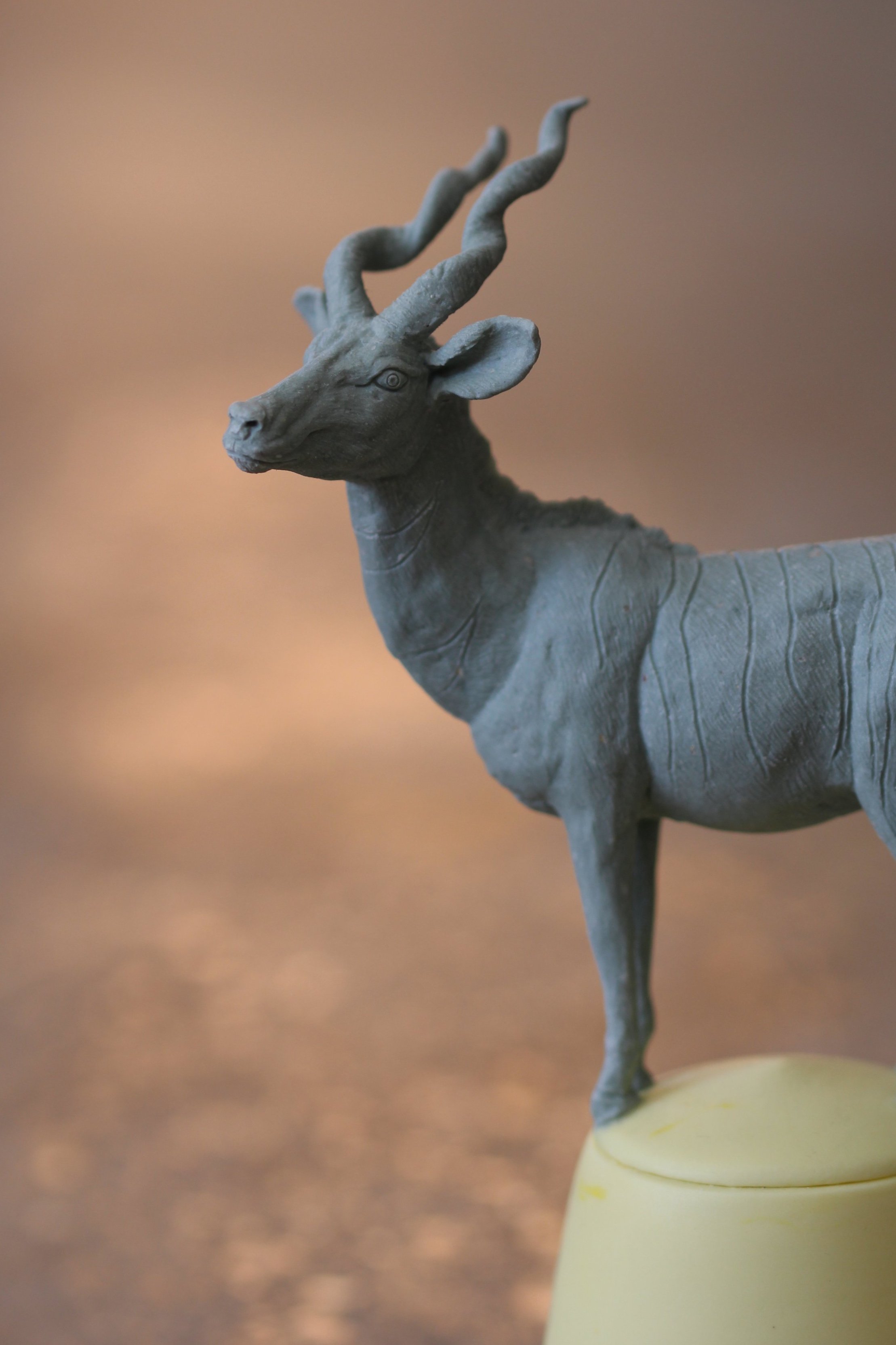 24. Lesser Kudu 160mm x 85mm £500 (SOLD)
