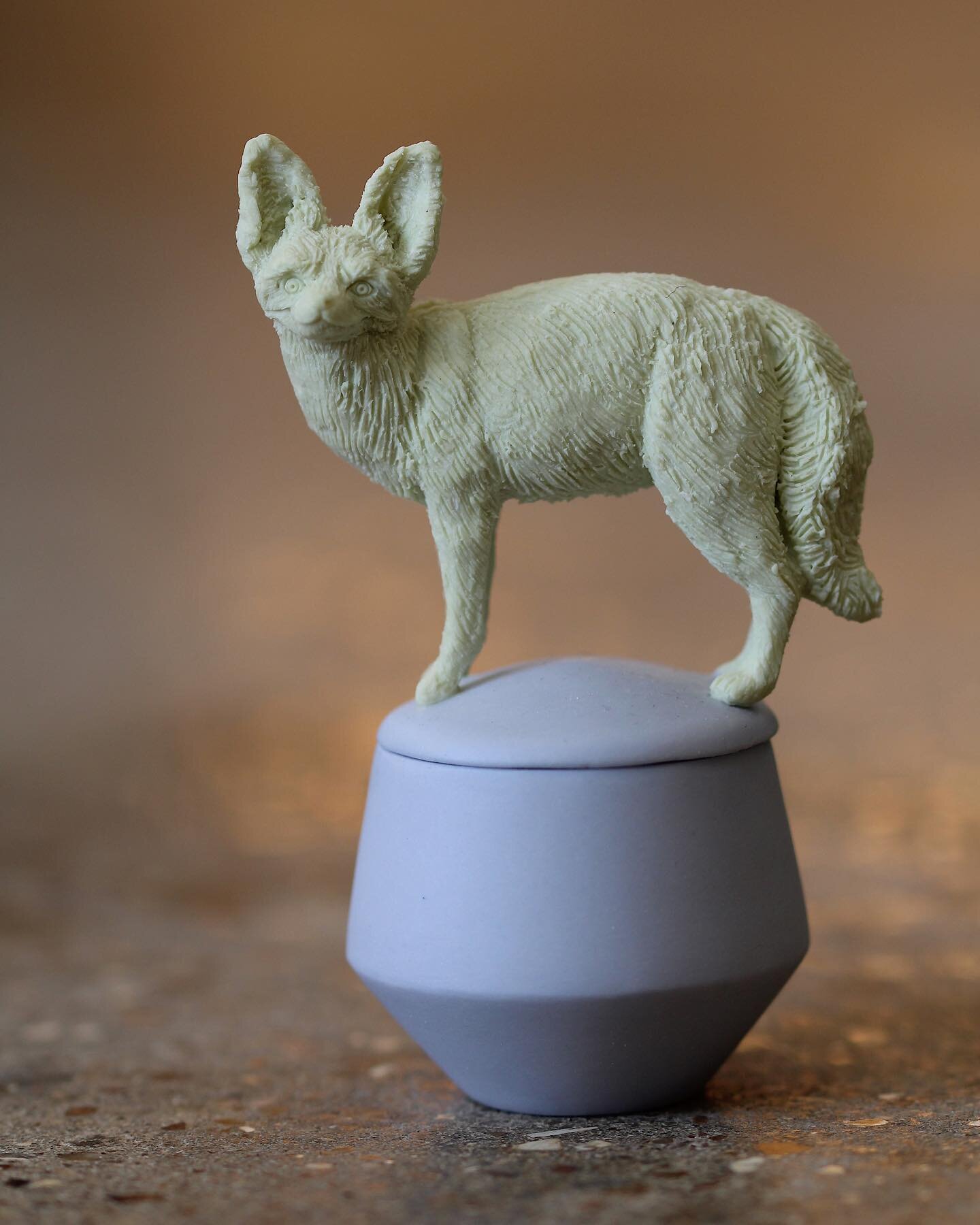 Bat Eared Fox 🦊 

Small quiz about them in my stories ☺️

Hand Carved Porcelain,
90mm x 55mm 

#batearedfox #porcelain #porcelainsculture #handcarvedporcelain #stainedporcelain #ceramics #wildlifesculpture #africananimals #wildlifeart #contemporaryc