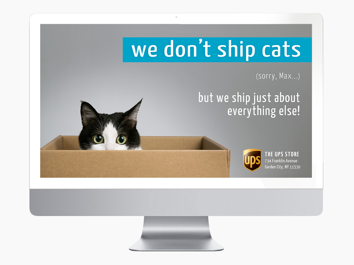 We Don't Ship Cats