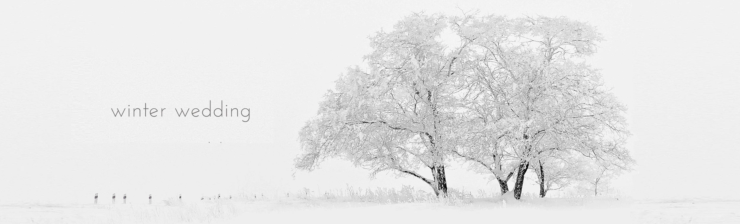 WINTER WEDDING