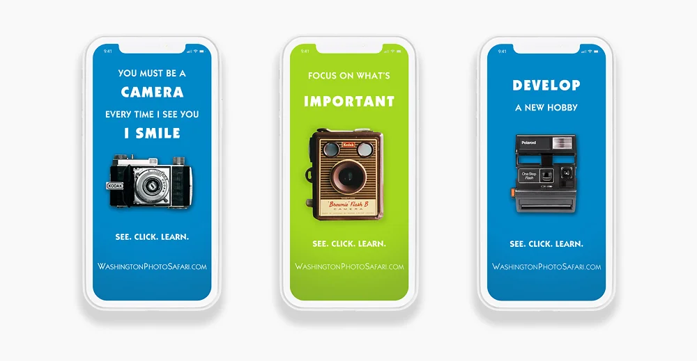 VINTAGE CAMERA CAMPAIGN