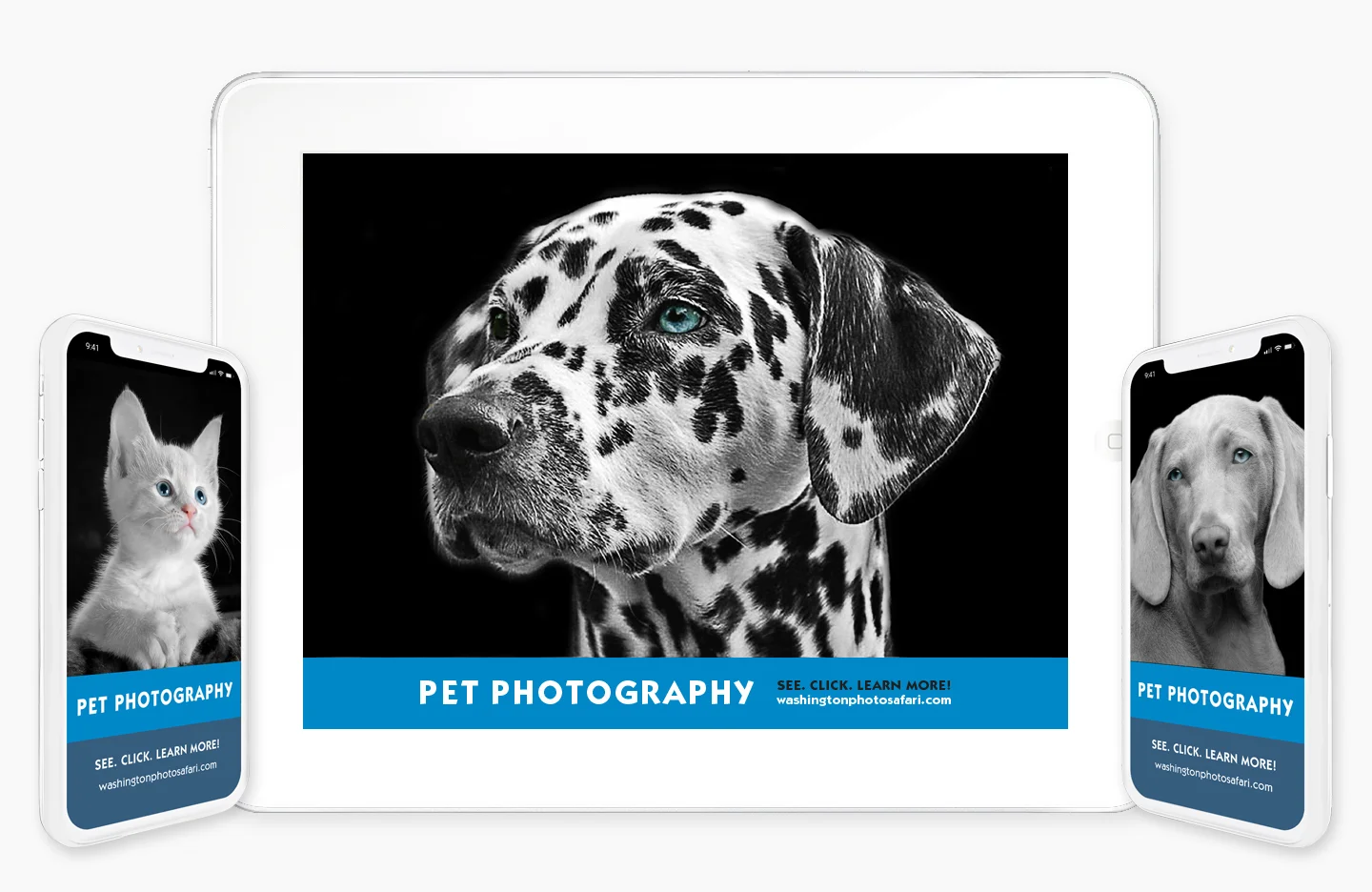 Pet Photography with iPhones.jpg