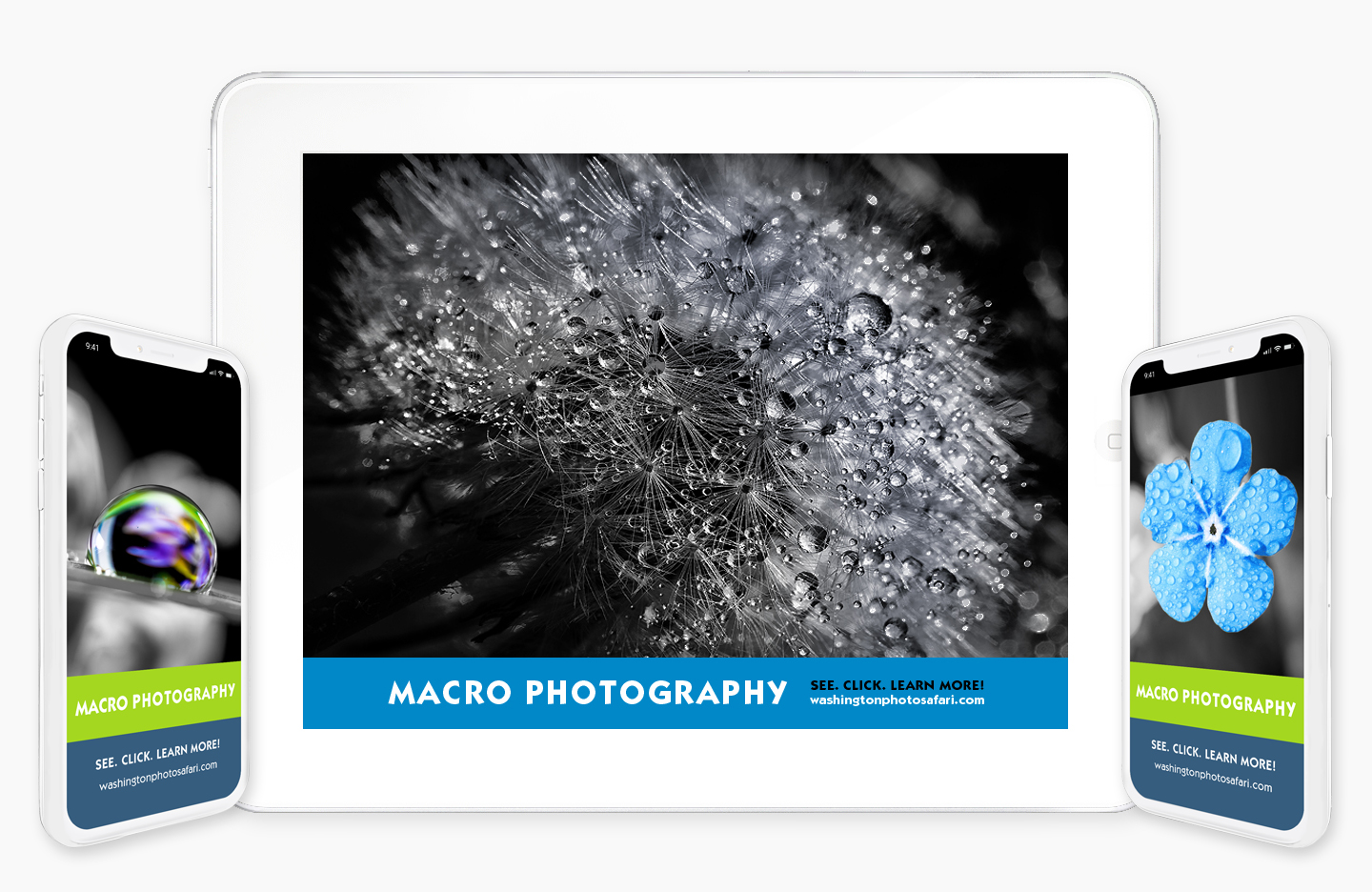 Macro Photography with iPhones.jpg