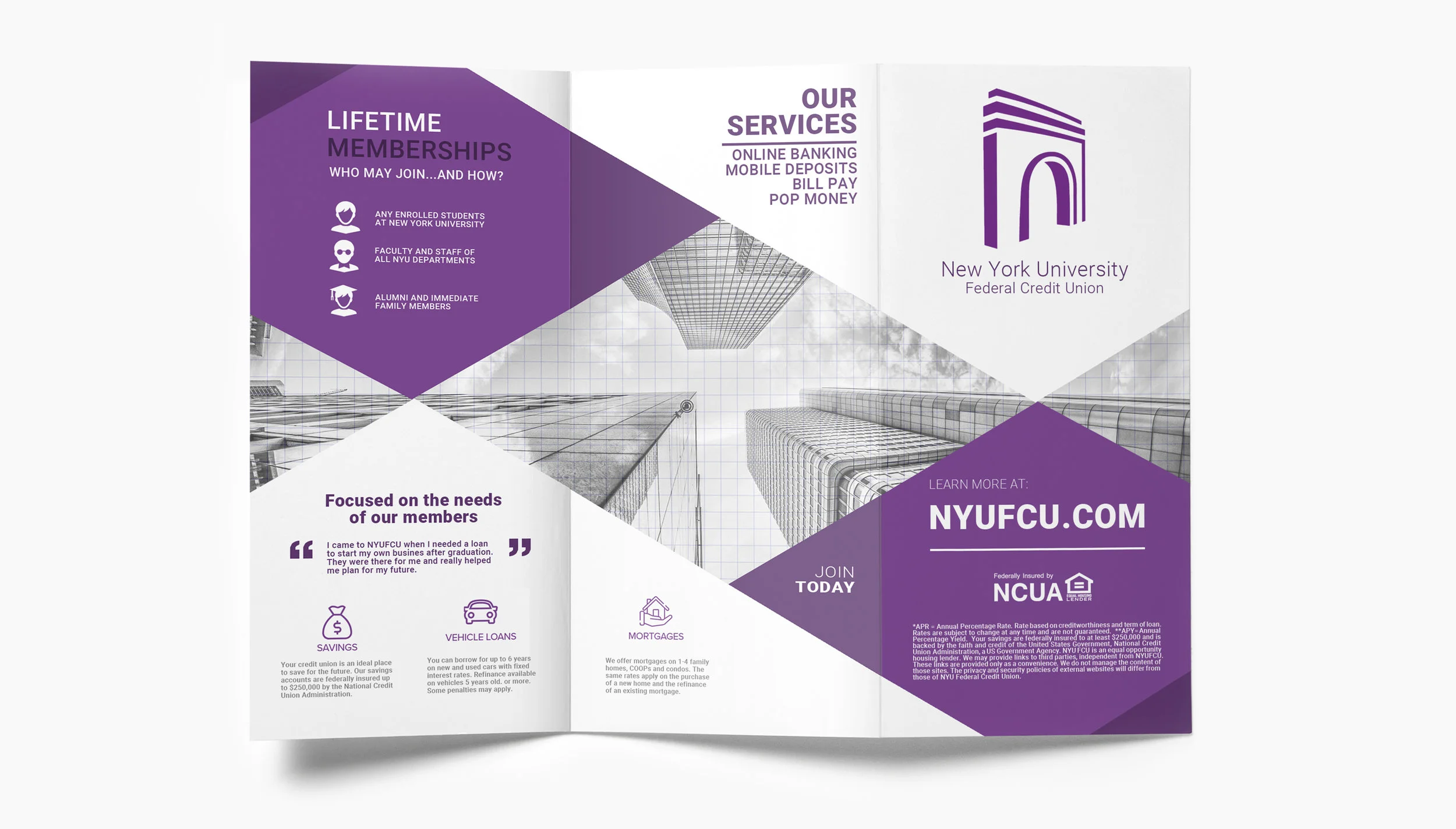 New York University Brochure