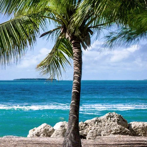 St. Martin