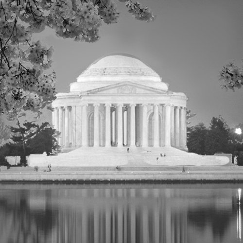 Washington Photo Safari