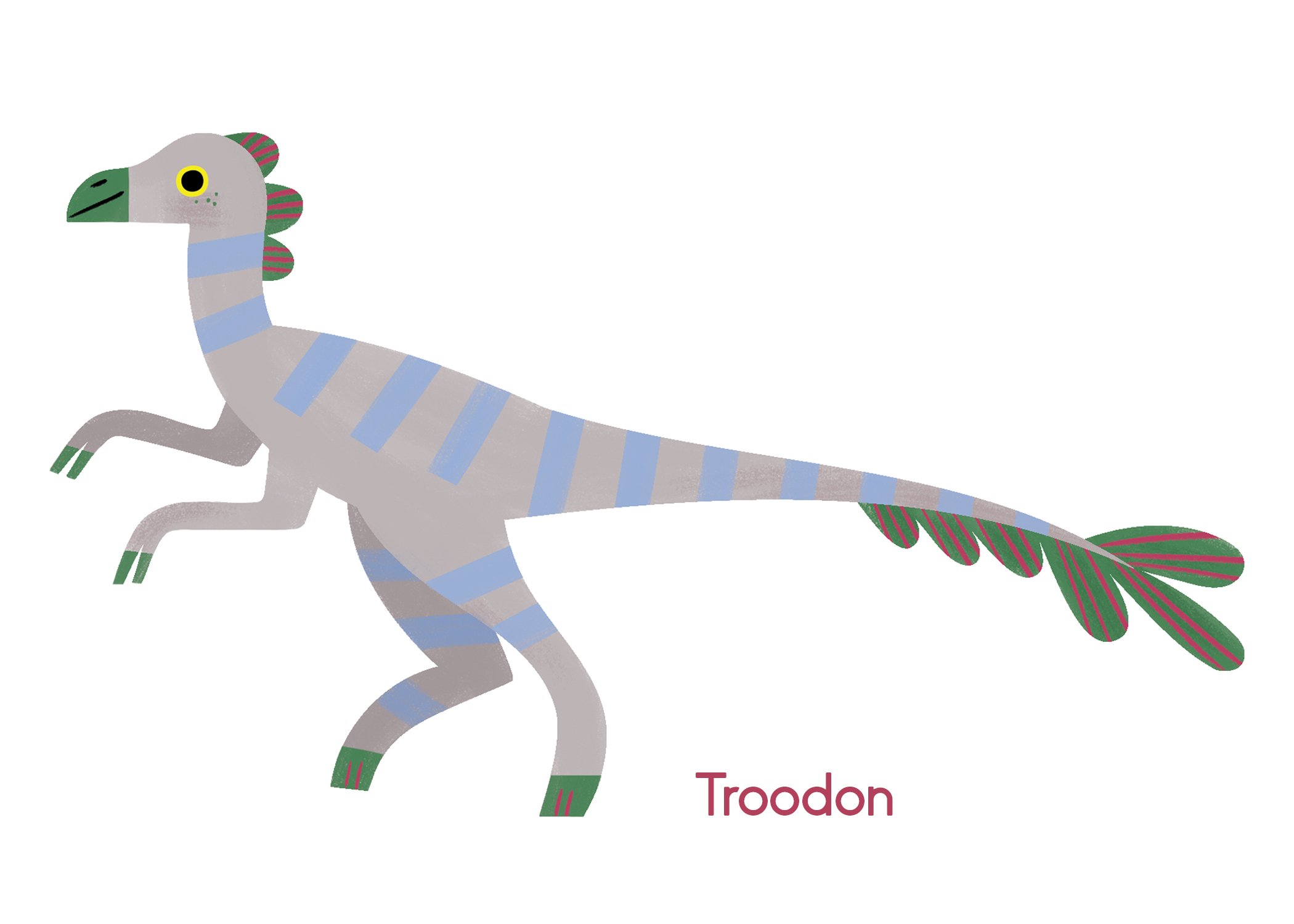 Dino-Gallery_Troodon.jpg