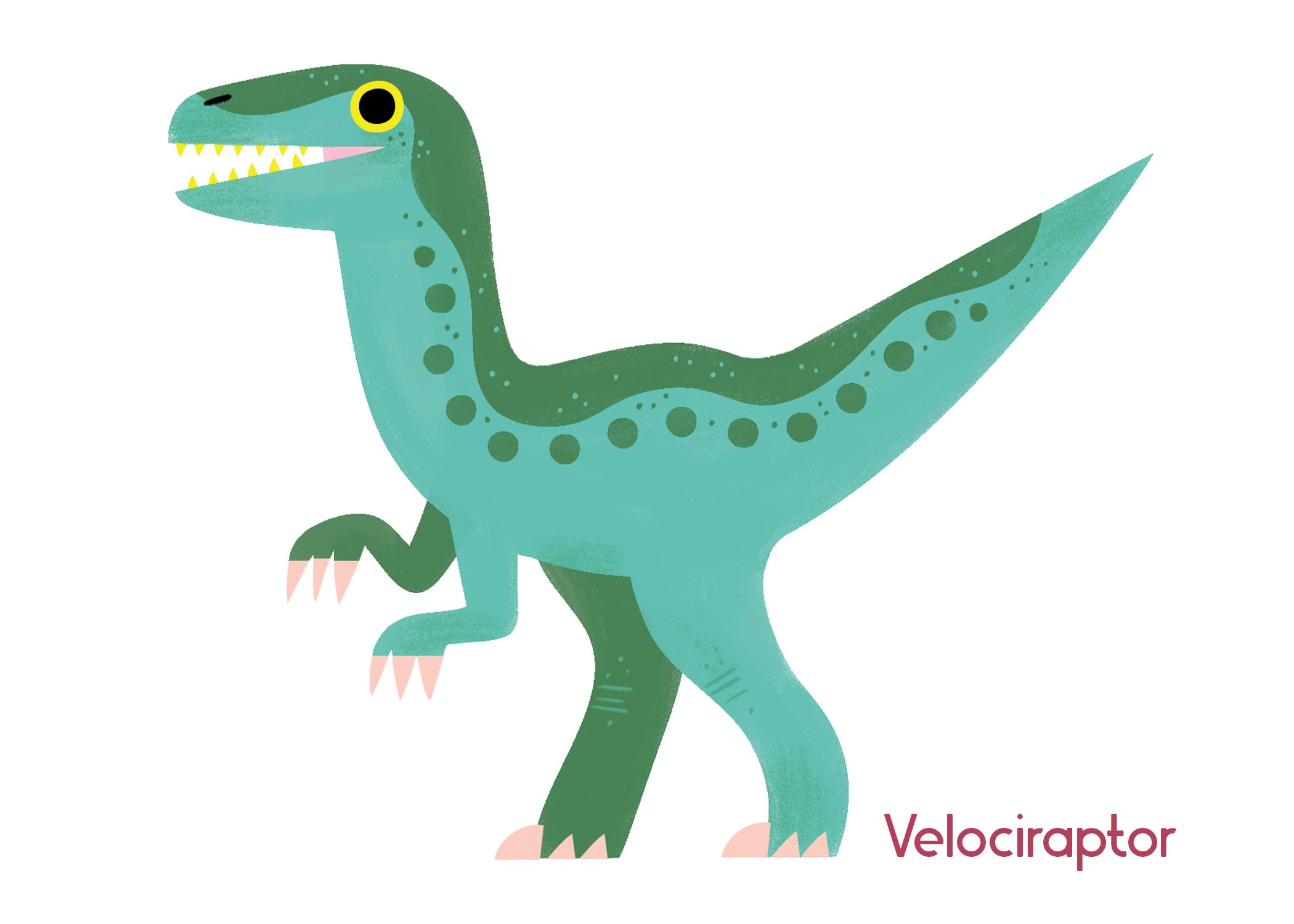 Dino-Gallery_Velociraptor.jpg