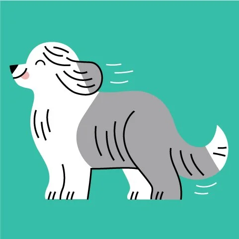 Dog Line Packaging Assets