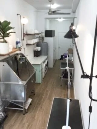  Established: June 2019 